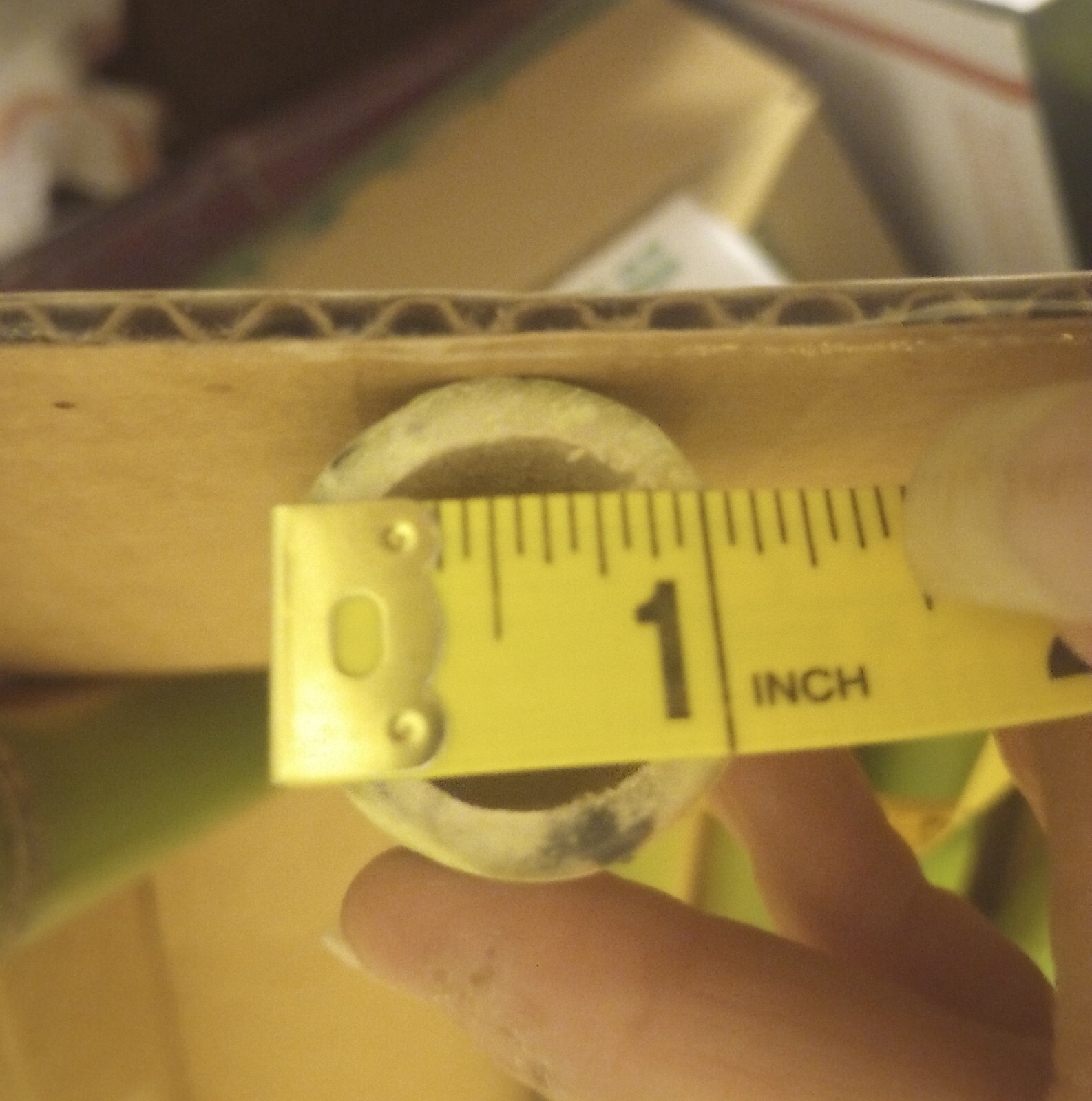 10 Bamboo 12" Poles Variety Sizes Decoration Tiki 1' Make Your Own Bee Hive