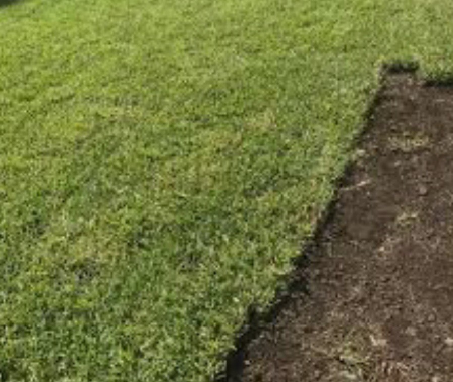 Plantado De San Agustin