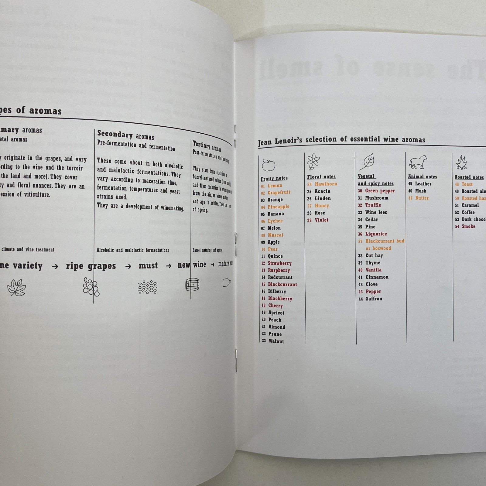 Le Nez Du Vin 12 Red Wine Aroma Kit Jean Lenoir Sommelier Entertaining Scent