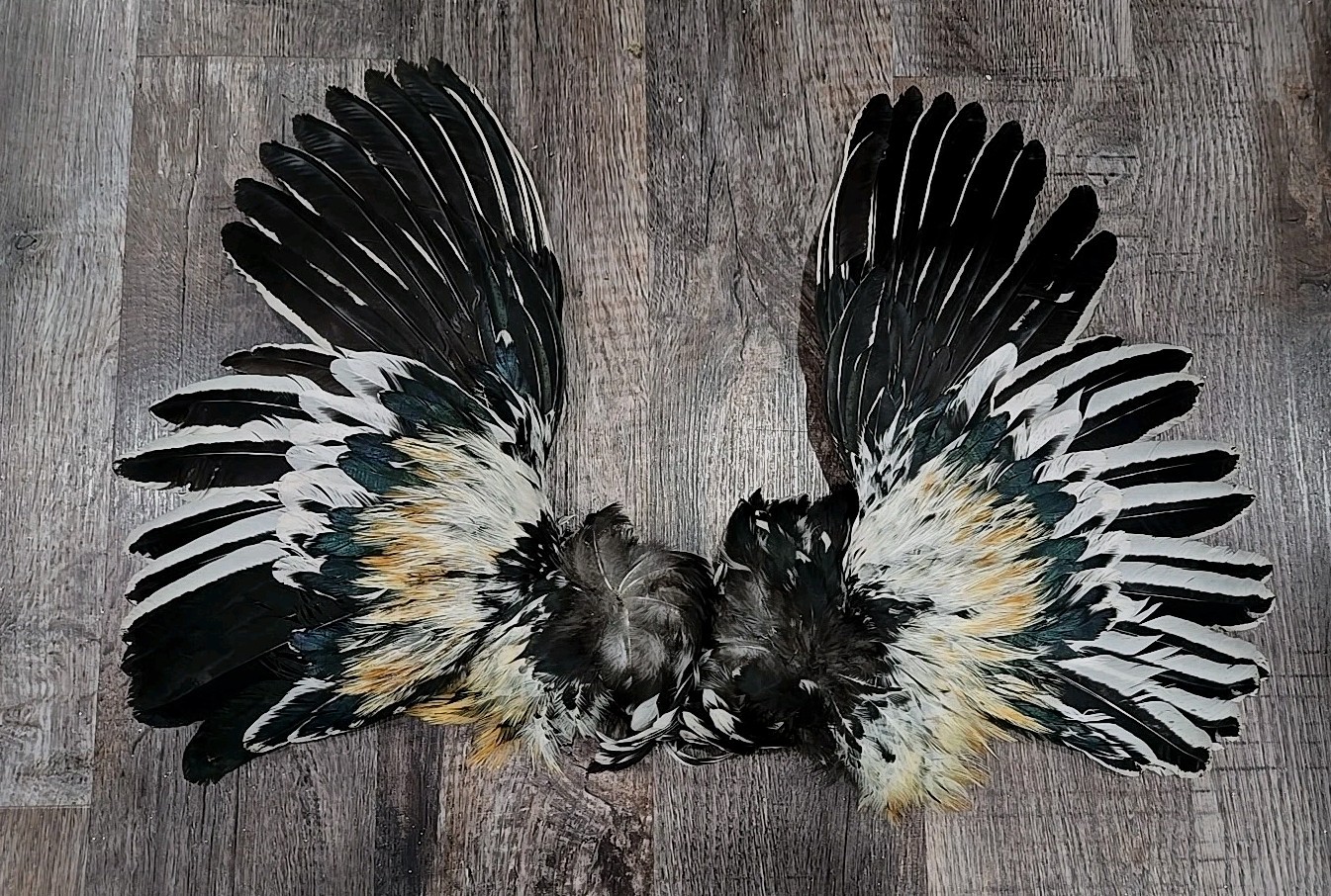 Cream  Chicken Rooster Wings Craft Bird Fly Tying Feathers Taxidermy Material