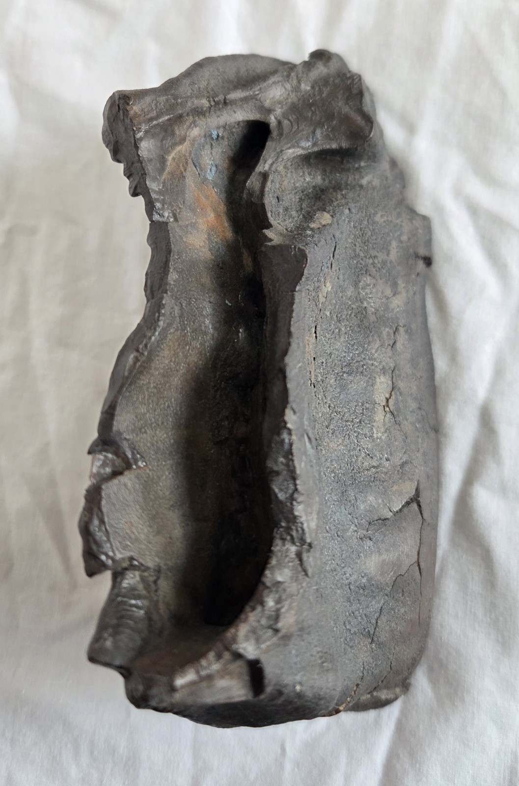 Genuine Woolly Mammoth Tooth Molar Fossil 6.5" Long