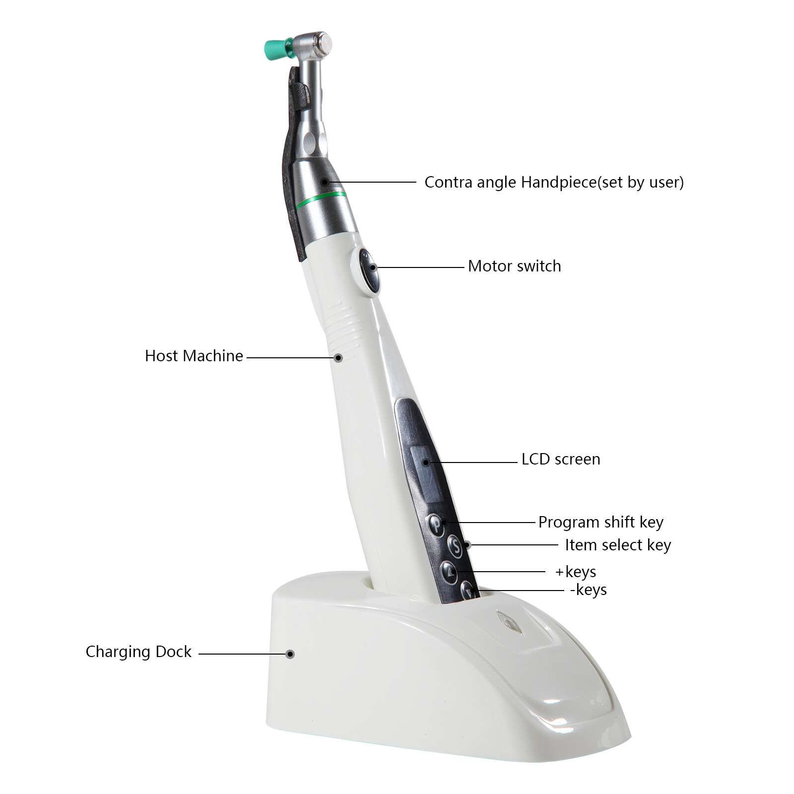 Dental hygiene Prophy LED Motor Cordless Handpiece / 100*Polishing Cups