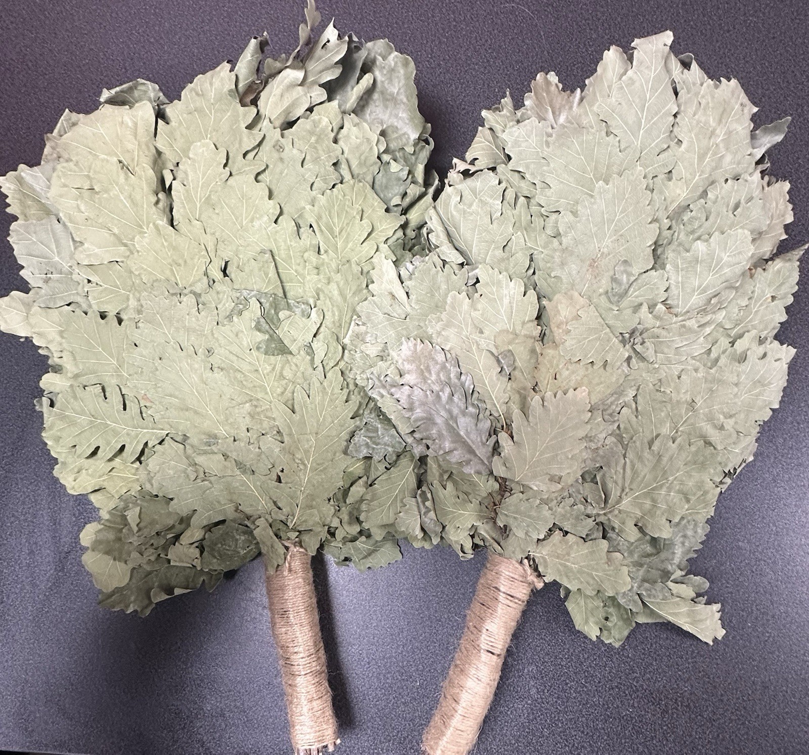 2 Oak Venik Sauna Broom Sauna Banya  КАВКАЗСКИЙ ДУБОВЫЙ ВЕНИК БАННЫЙ