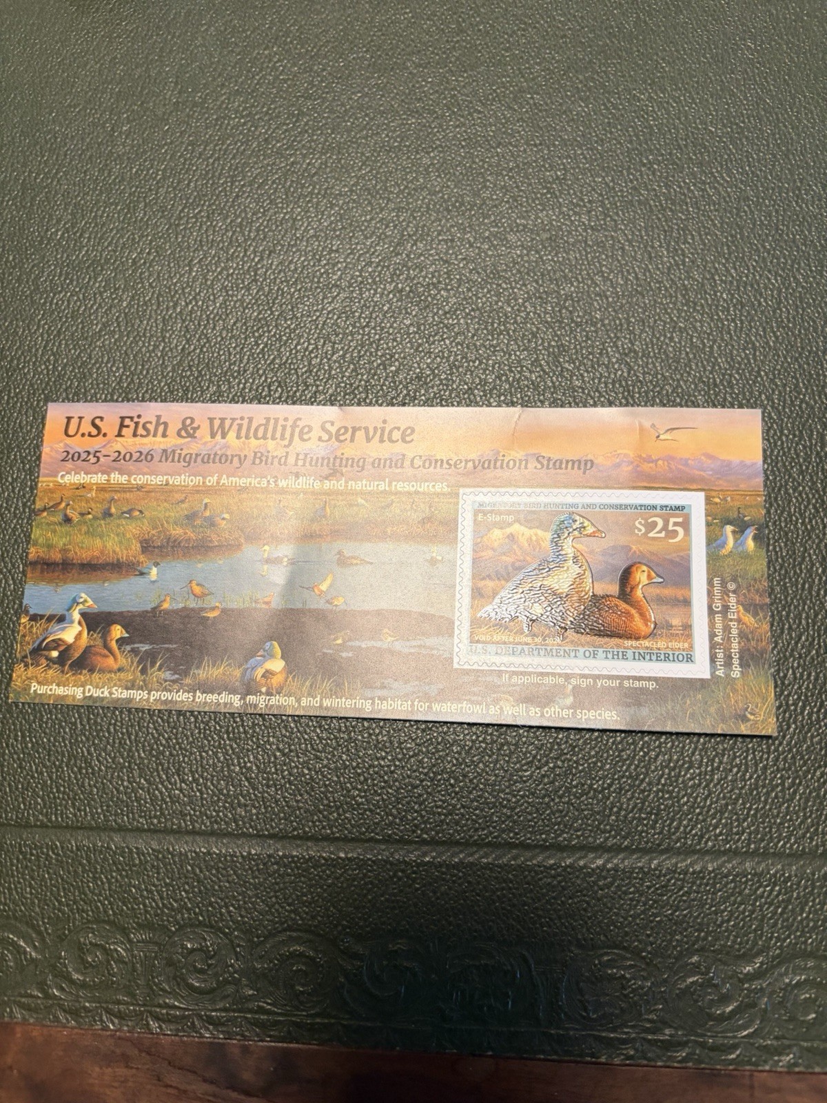 NEW Federal Duck Stamp 2025-2026 Spectacled Eider