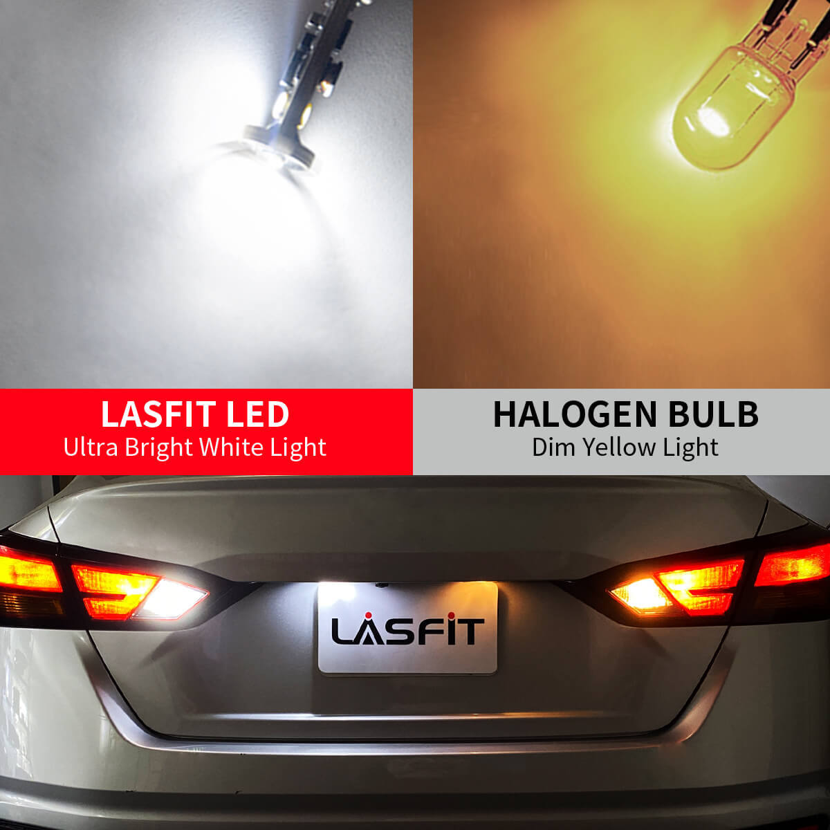 Lasfit T10 LED License Plate Light Bulbs 6000K Bright White 168 2825 194 Canbus