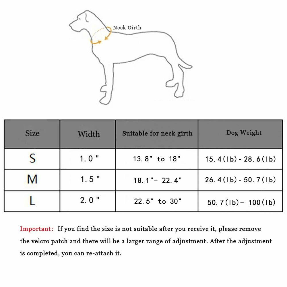 SERVICE DOG Collar Harness with Handle and Reflective Patches + 3 Free ADA Cards