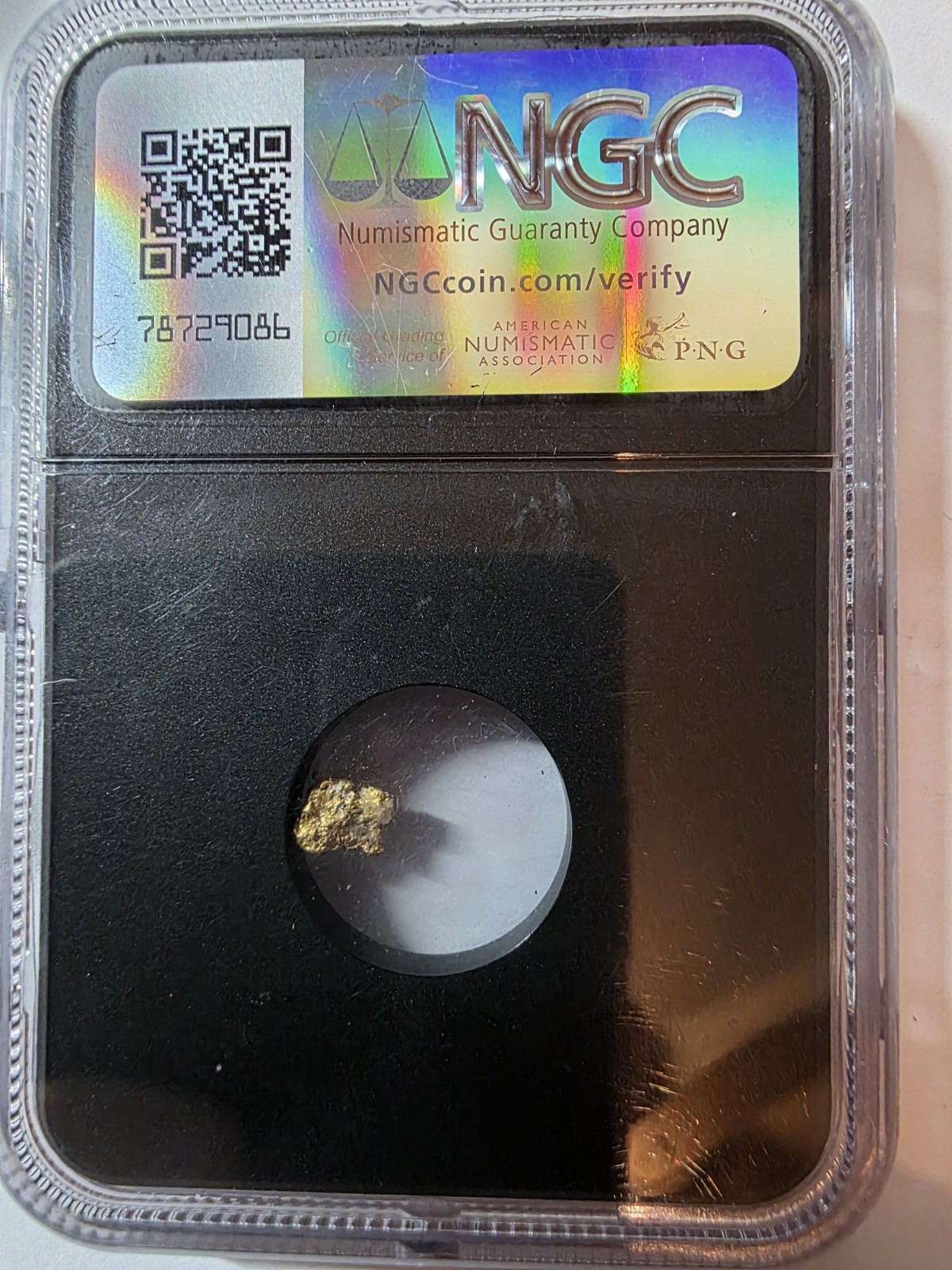 Mexico Gold Nugget 0.64 Gram Sinaloa Unvaulted Vault Box, NGC Certified