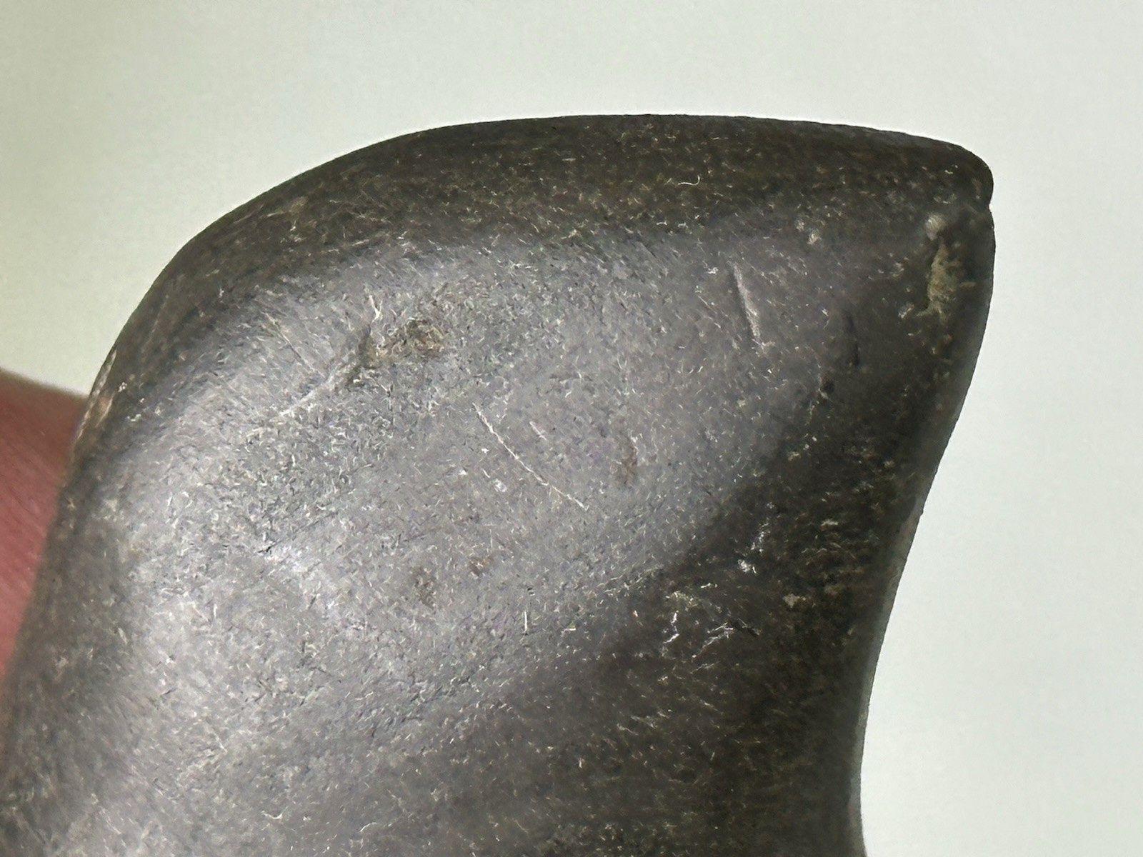 RARE AUTHENTIC BANDED SLATE BIRDSTONE FROM ASHLAND CO. OHIO, MOTLEY COA