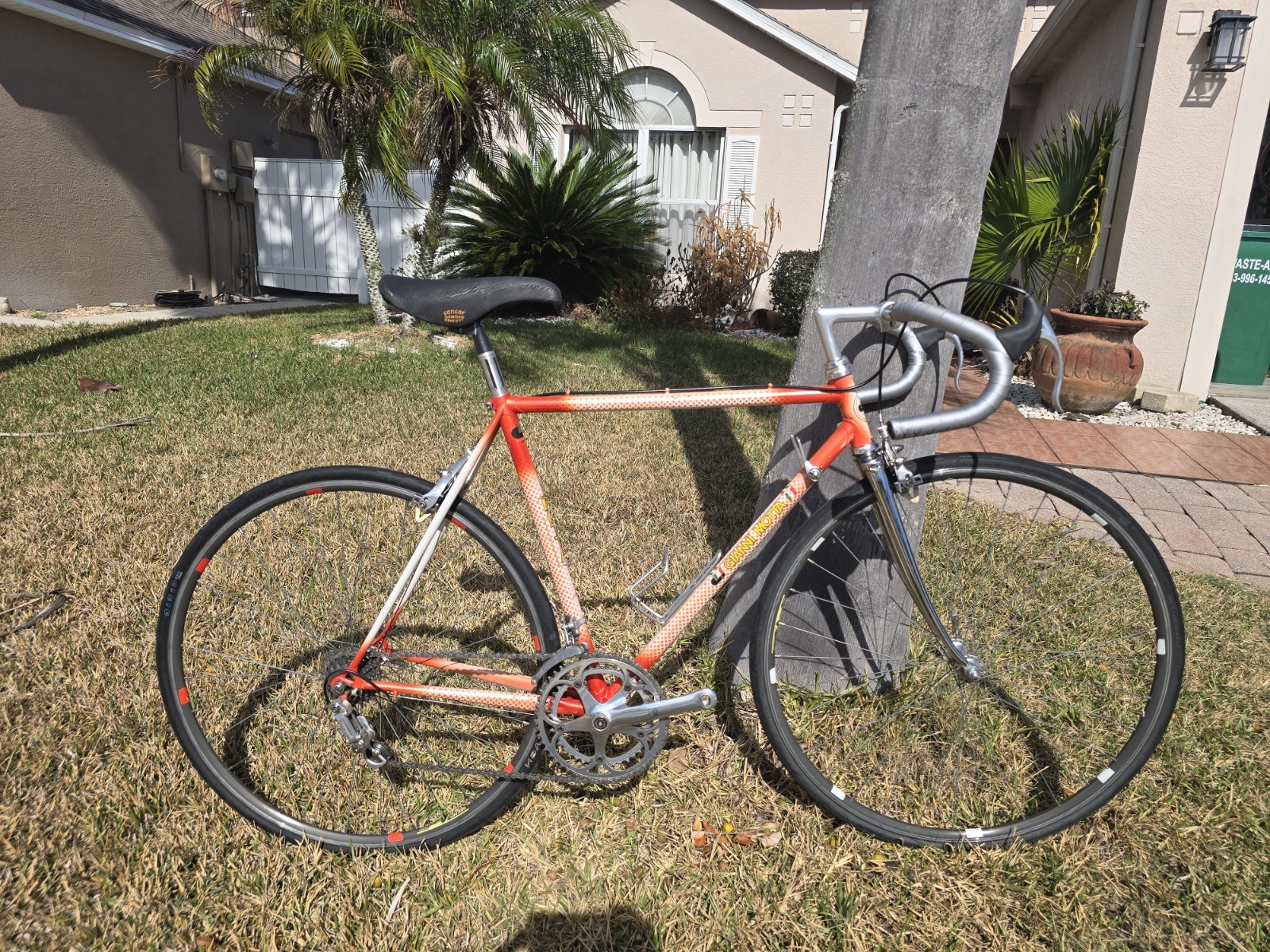 Gianni Motta Bike with Campagnolo Parts 53cm