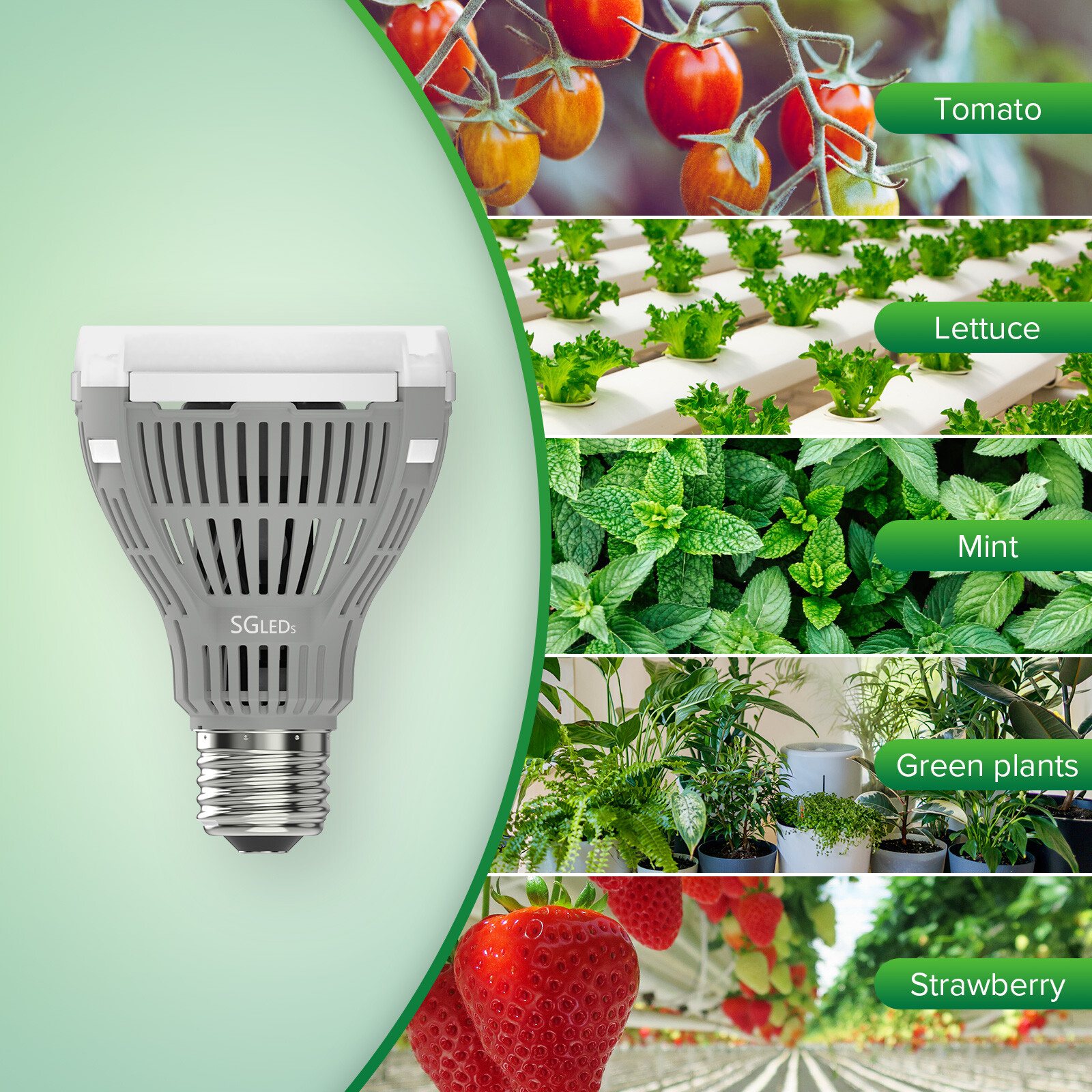 LED Grow Light Bulb 15W (200W Equivalent) Full Spectrum Plant Veg Bloom SANSI