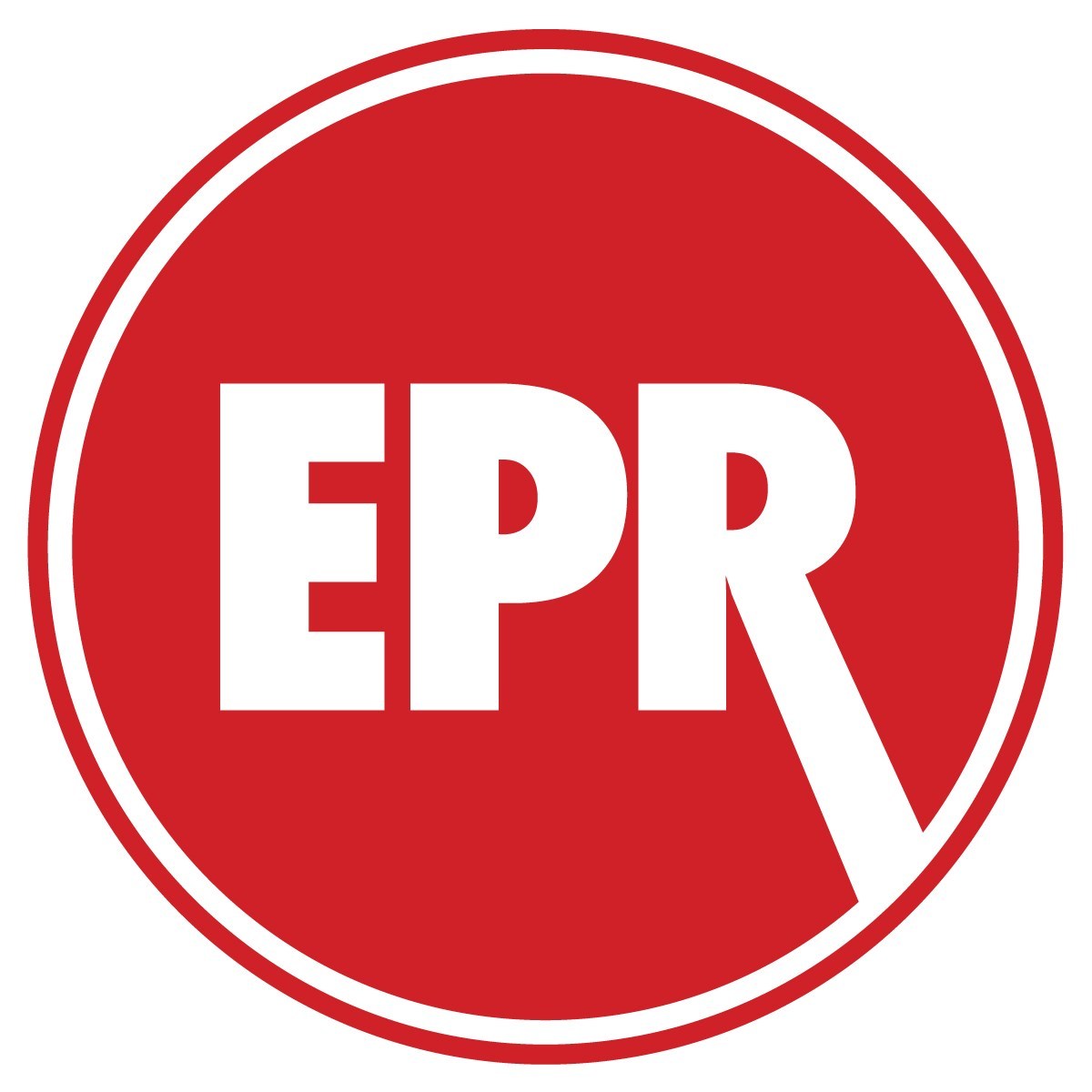 Echo SRM Line Trimmer Edge It Pro Trimming Edge Guide Guard Edger 1001