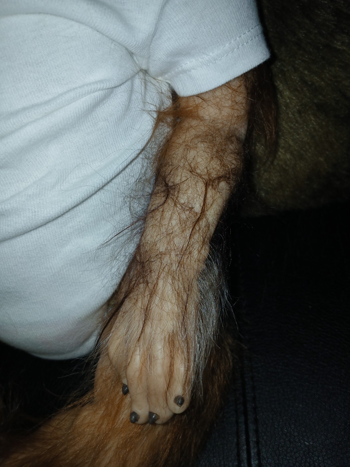 werepup reborn babydoll with birth cert/COA/DM-H Studio, LLC painted & rooted