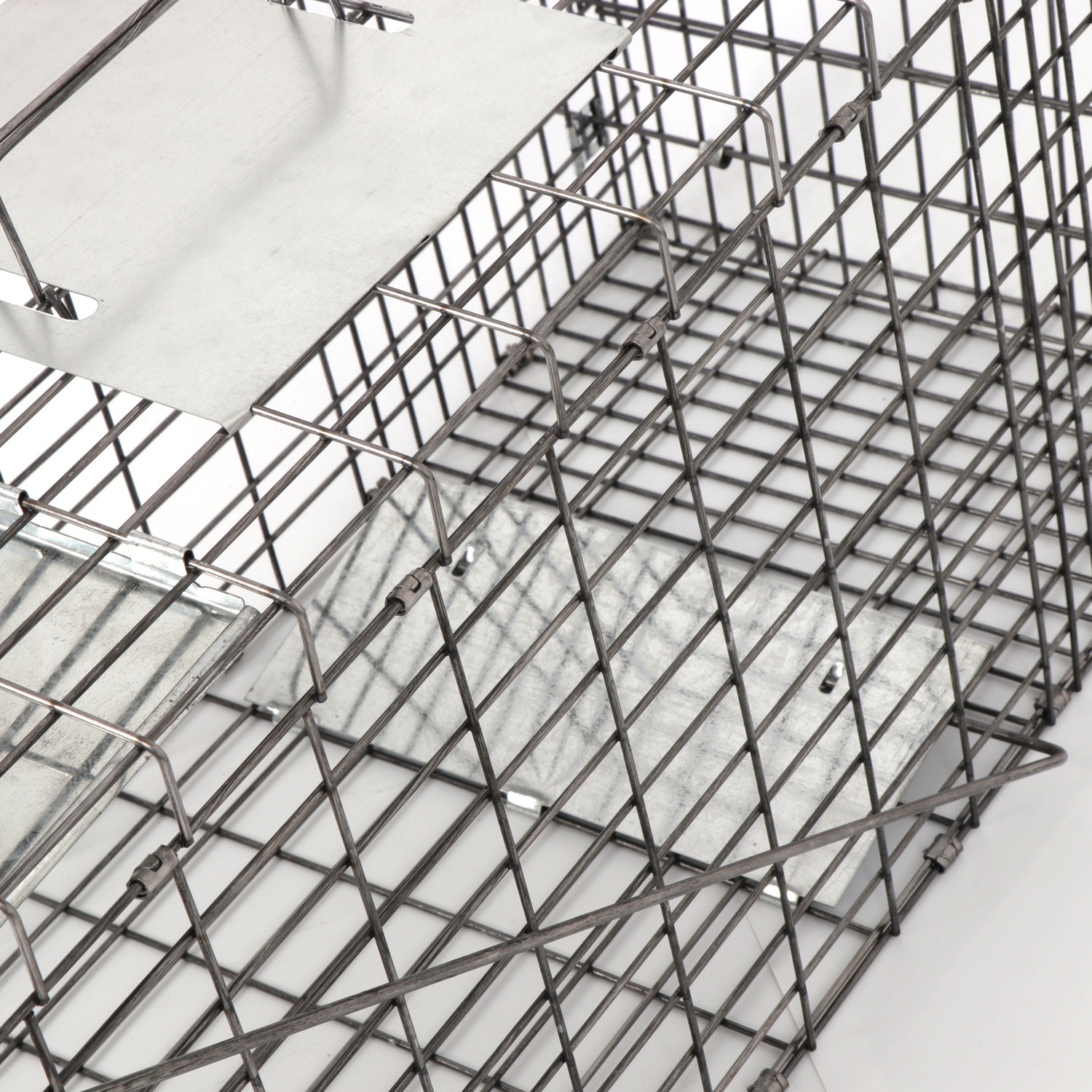 Live Animal Cage Trap 32" X 12.5" X 12" Humane Rodent Raccoon Cage w/Iron Door