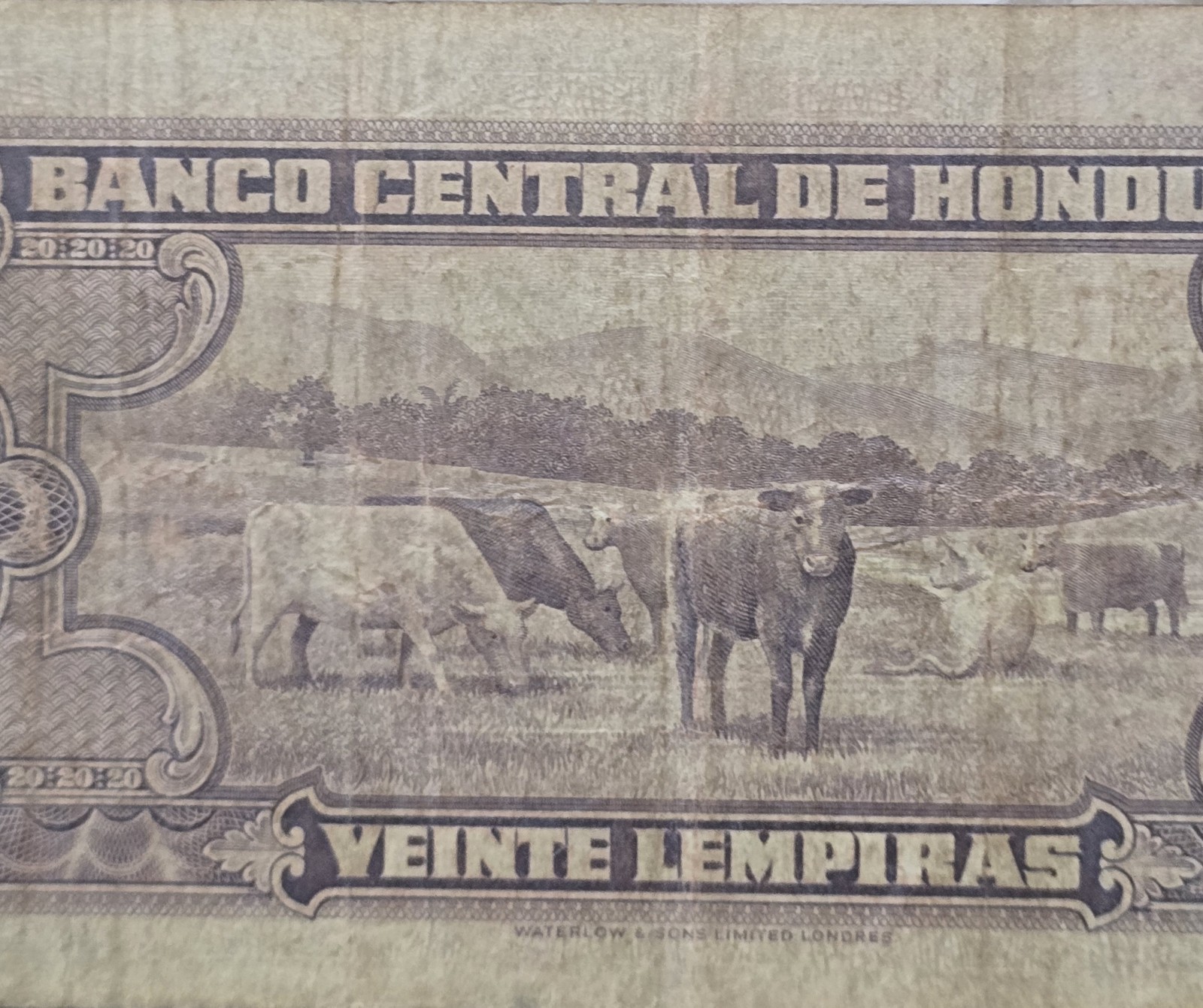 Banco Central de Honduras 20 Lempiras Banknote 1951 Circulated Honduras