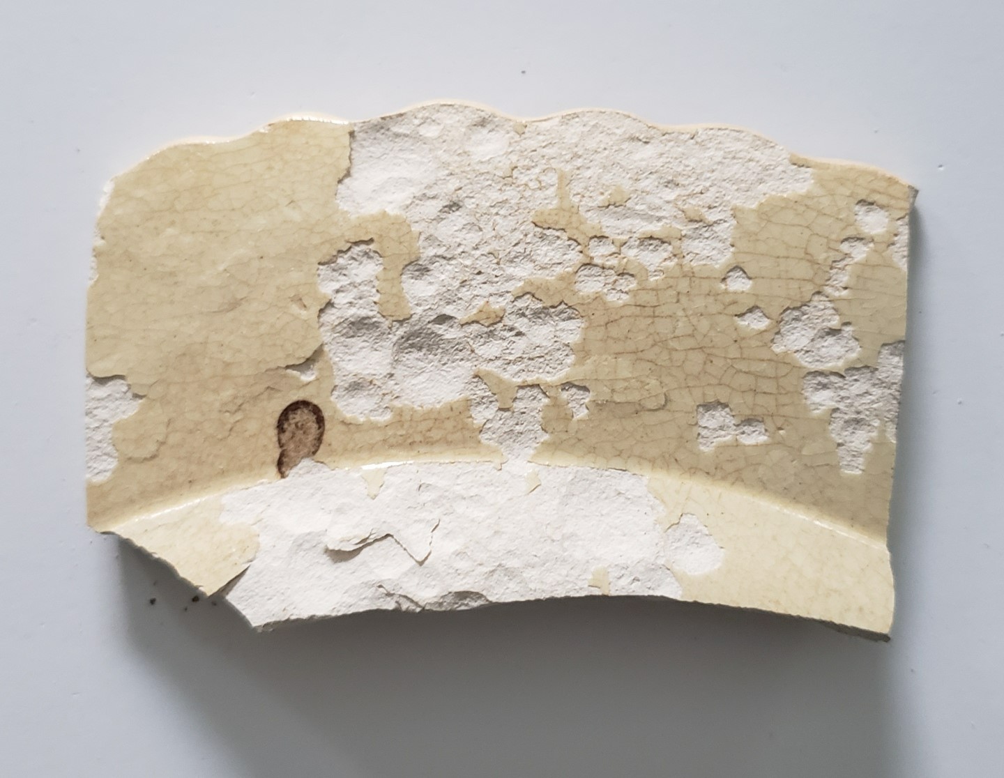 Florida Key's Shipwreck Artifact 1772 Hubbard English China Encrusted Plate #239