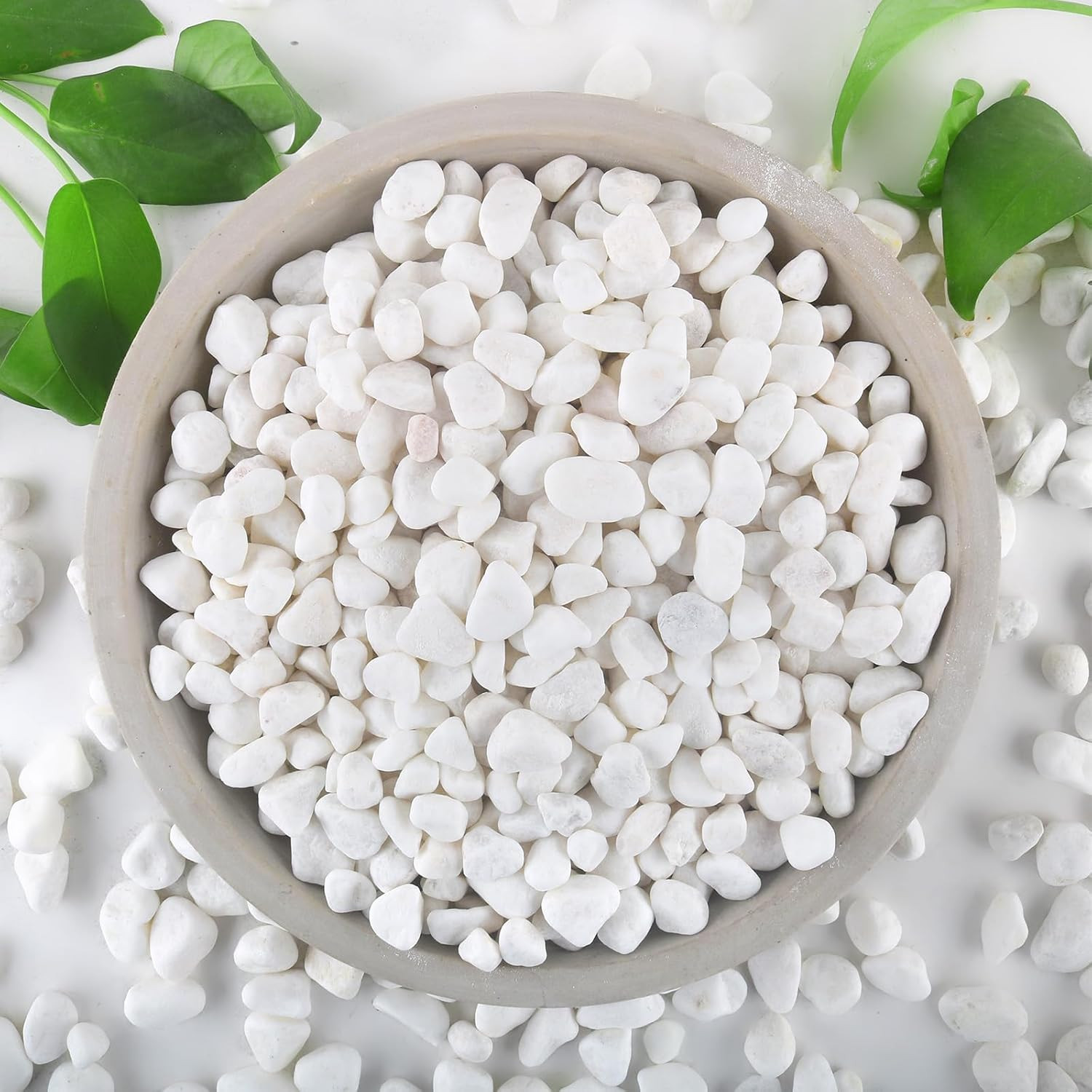 12Lb White Rocks for Plants, 1/4"-3/4" White Pebbles, Decorative Stones for Vase