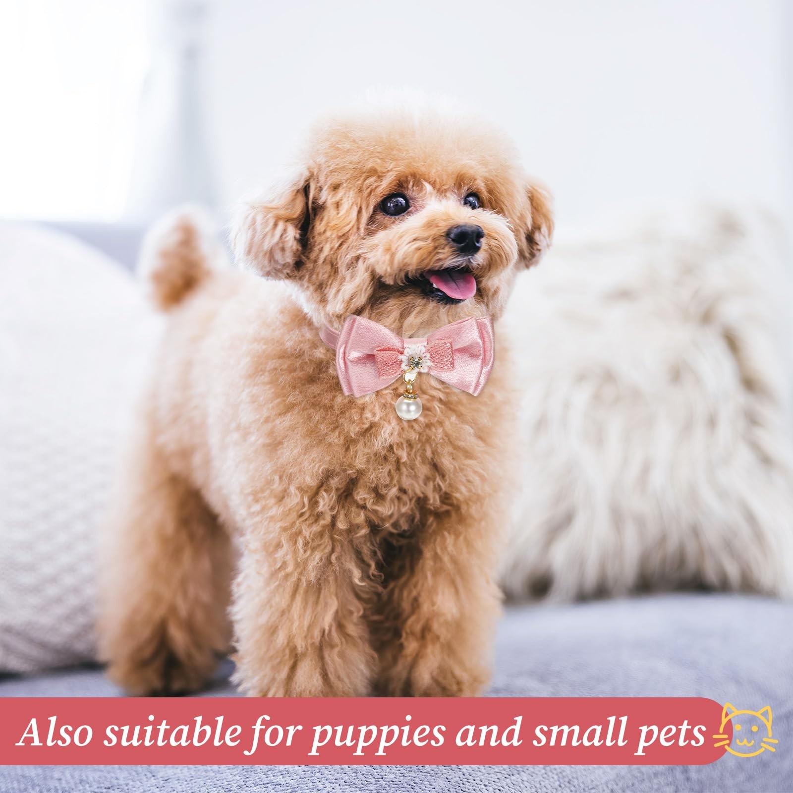 JJUNW 2Pack Adorable Cat Collar with Bow, Cute Kitten Collars for Girl Cats...