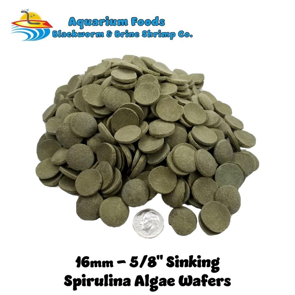 Sinking Wafers Bottom Feeder Fish Food 5-Type Mix. Algae Eater, Catfish & Plecos