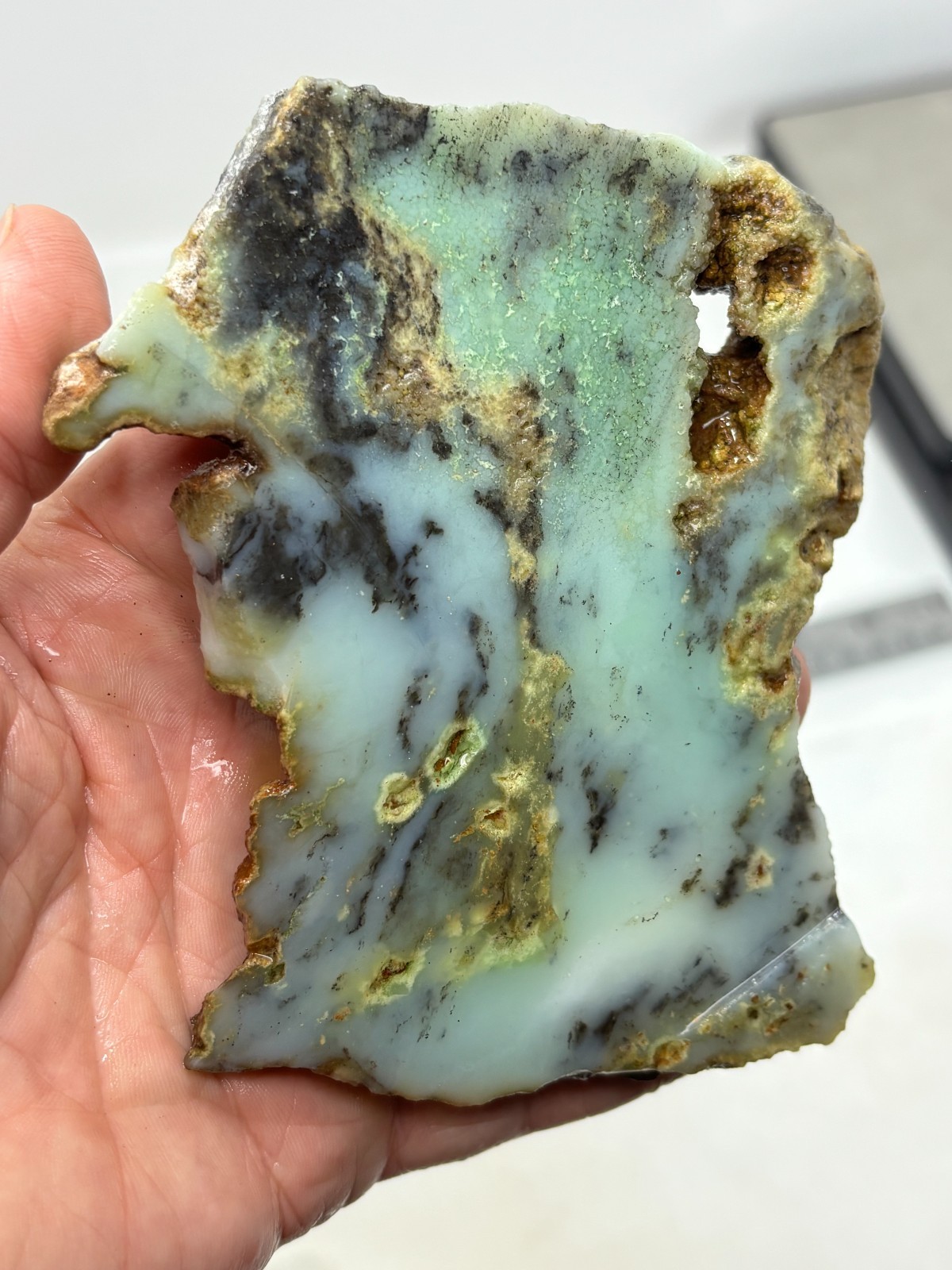 Indo Dendritic Chrysoprase Slab Cabbing Lapidary Collecting Combo Ship Avail