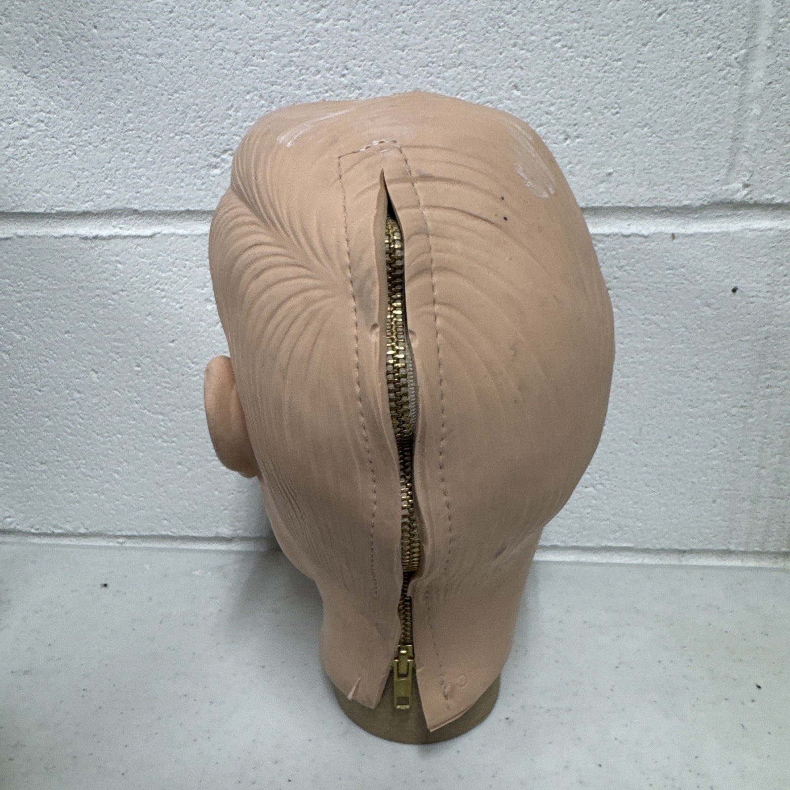 Columbia Dentoform Dental Manikin Head Shroud For ADEX CDCA Exam Haunted House