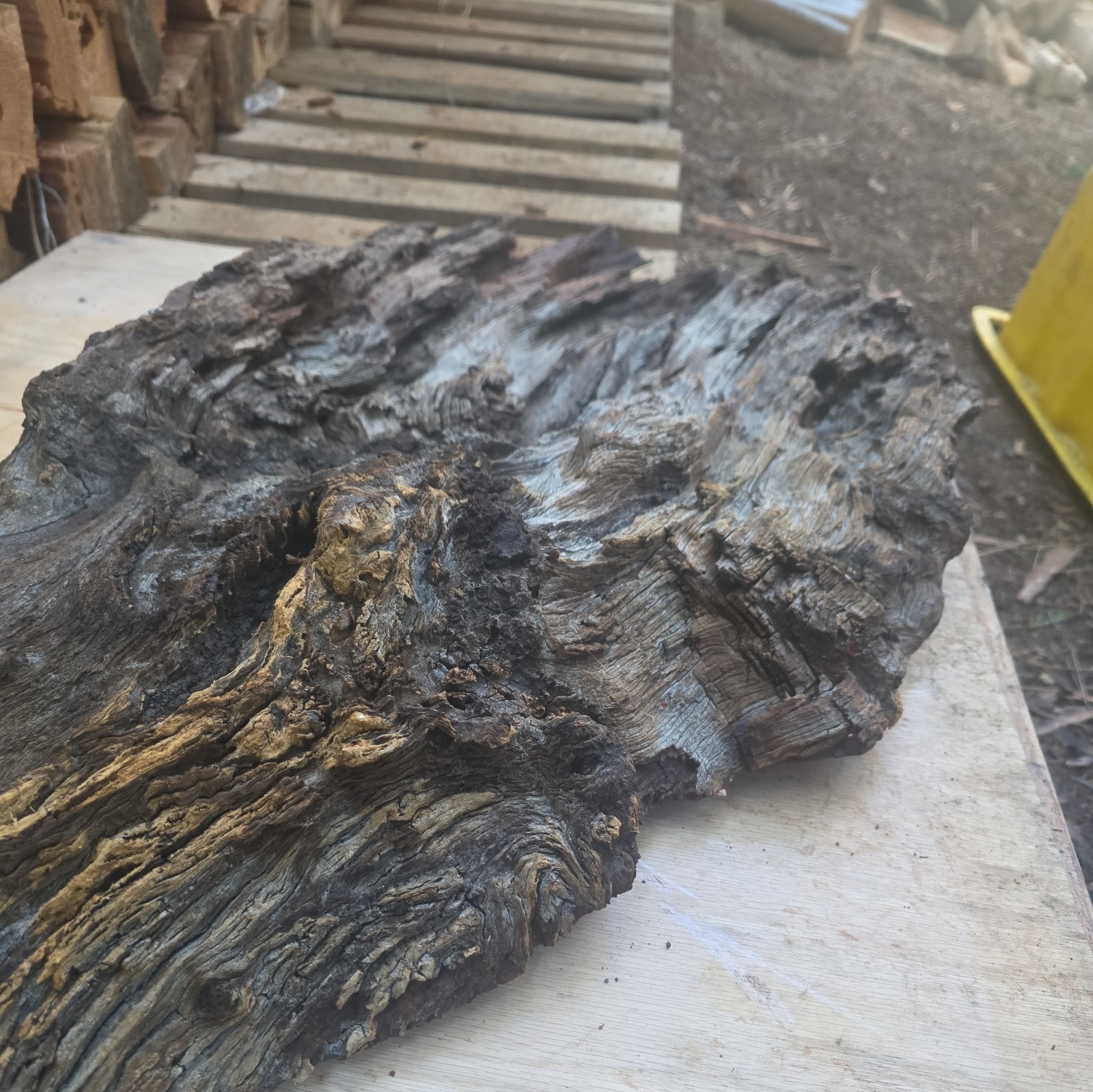 Desert Ironwood Live Edge Slab Epoxy Resin River Table Woodworking Art Mill Log