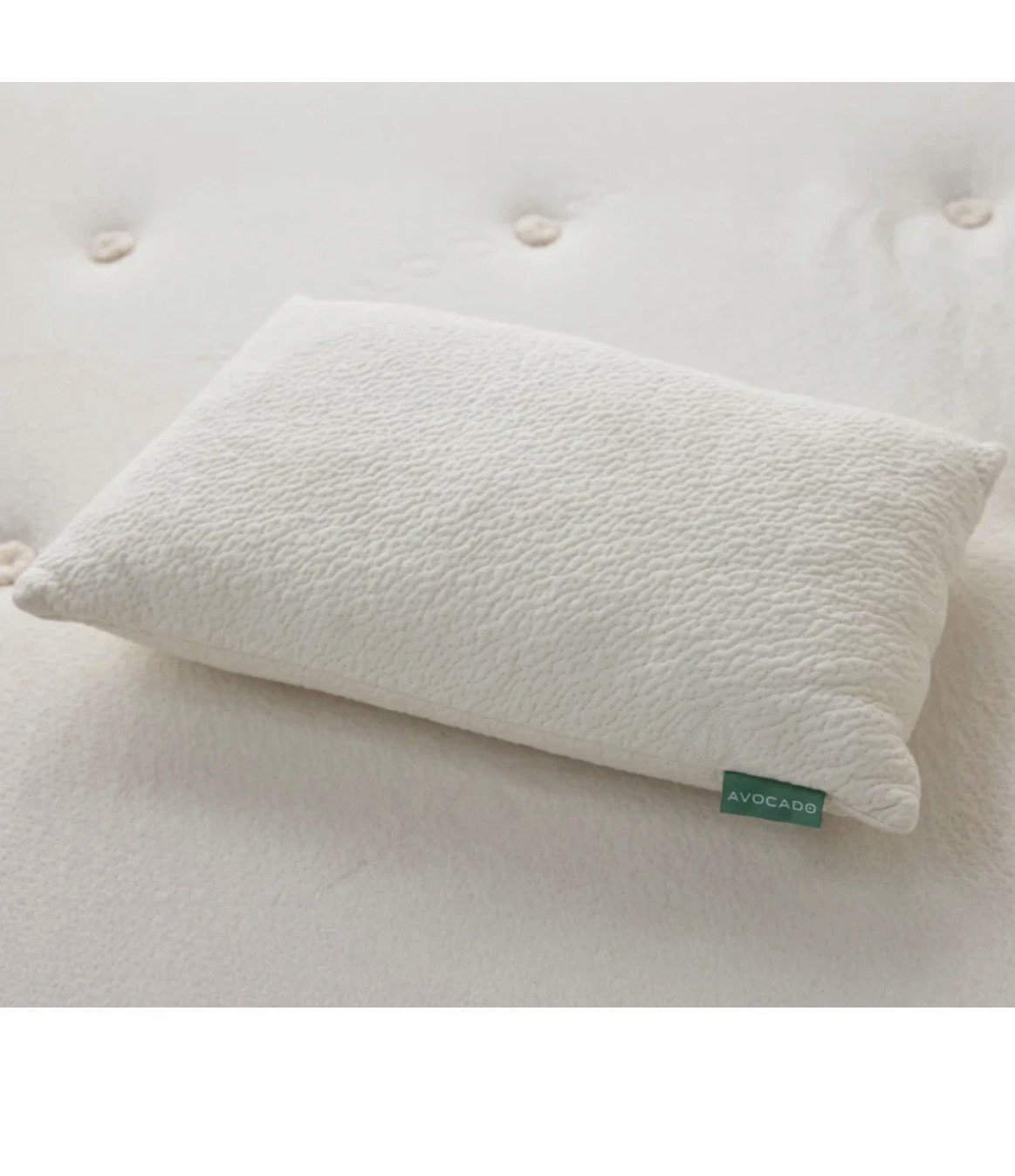 Avocado 100% Certified Organic Bed Pillow w/ Natural Latex and Kapok Fill Queen