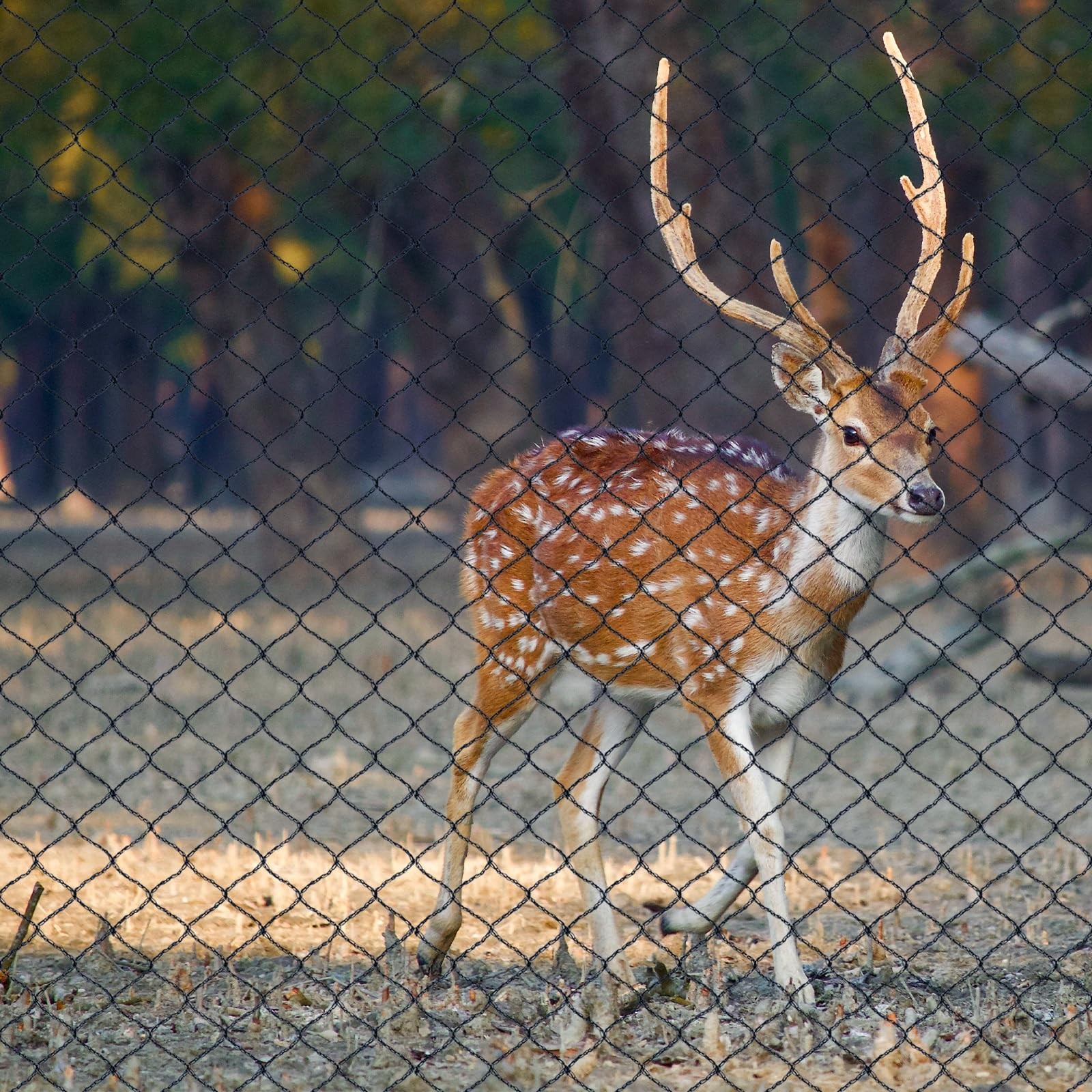 Woven Bird Netting 30x30 FT 1/2 Inch Mesh Heavy Duty Garden Pest Barrier
