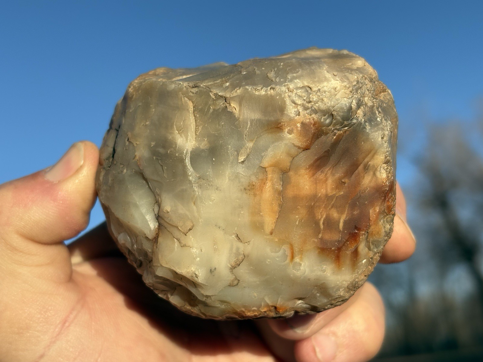 ☘️RR⚒: Anasazi Mano Made From Agate Fossil Wood NE AZ.