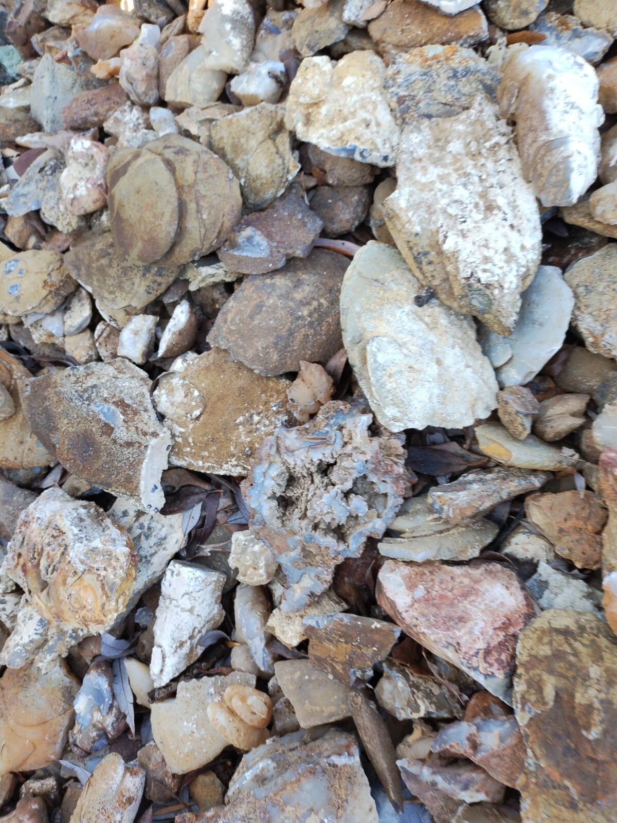 Agate Nodules Nicknamed Potato Agates 10 Pound Lot, Some w/crystals, some solid