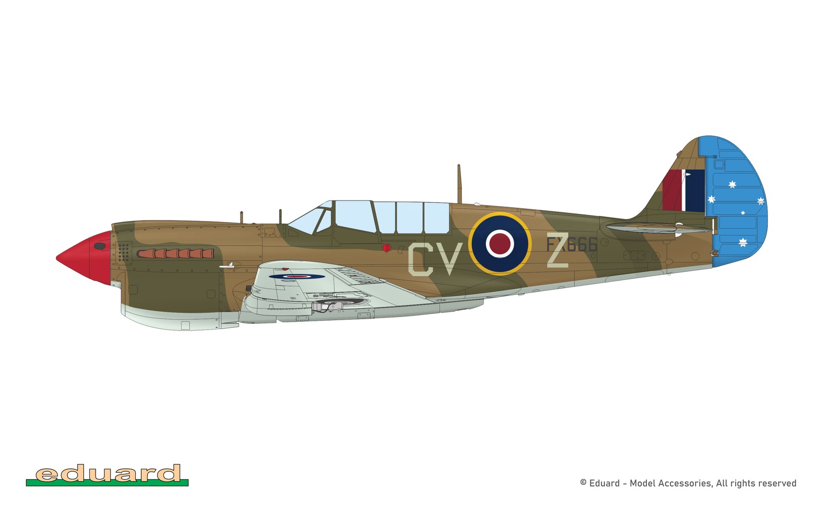 Eduard 1/48 P-40N Warhawk Royal Class Dual Combo R0025