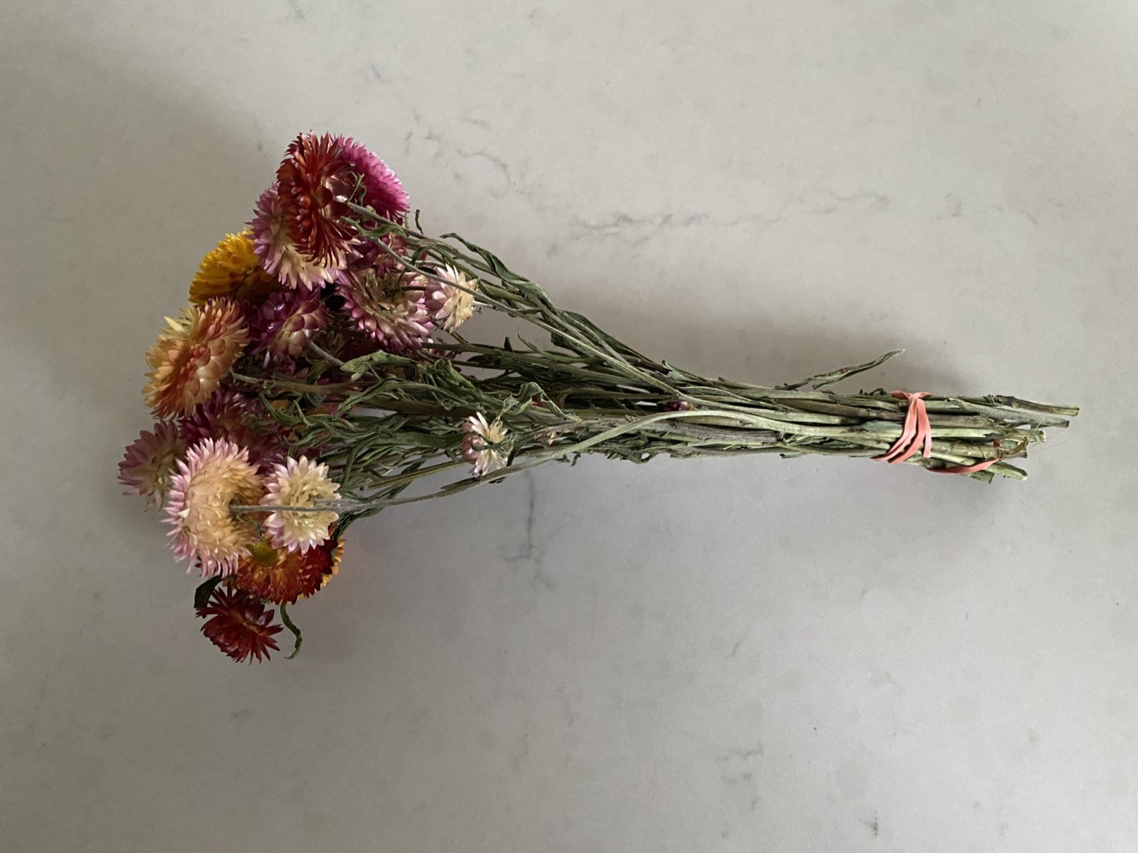 Beautiful STRAWFLOWERS Mix Assorted Bunch BOUQUET Bundle DRIED Flowers USA Auc#1