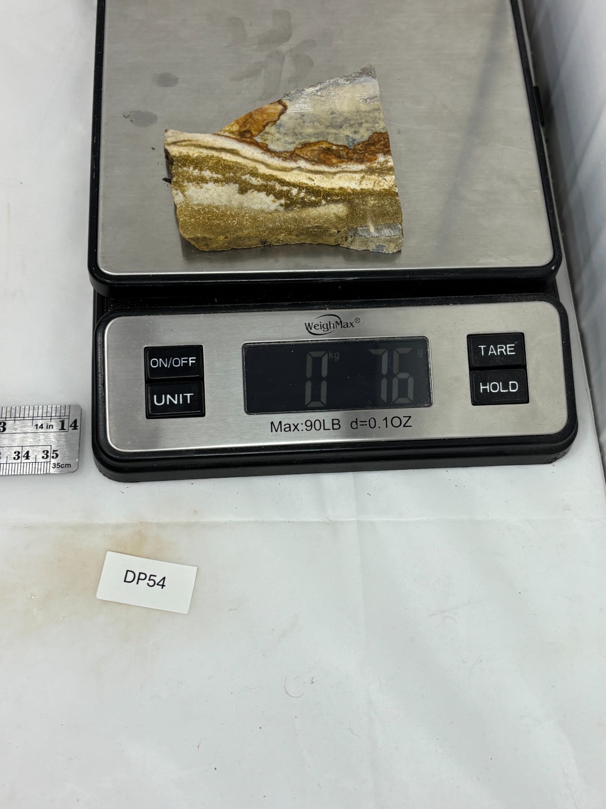 Disaster Peak Picture Jasper Slab Cabbing Lapidary Collecting Combo Ship Avail