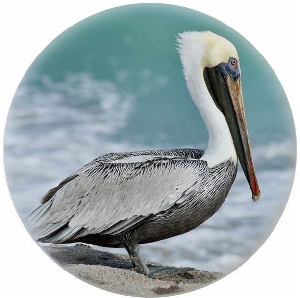 Pelican Animal Cabinet DRAWER Pull KNOB Ceramic