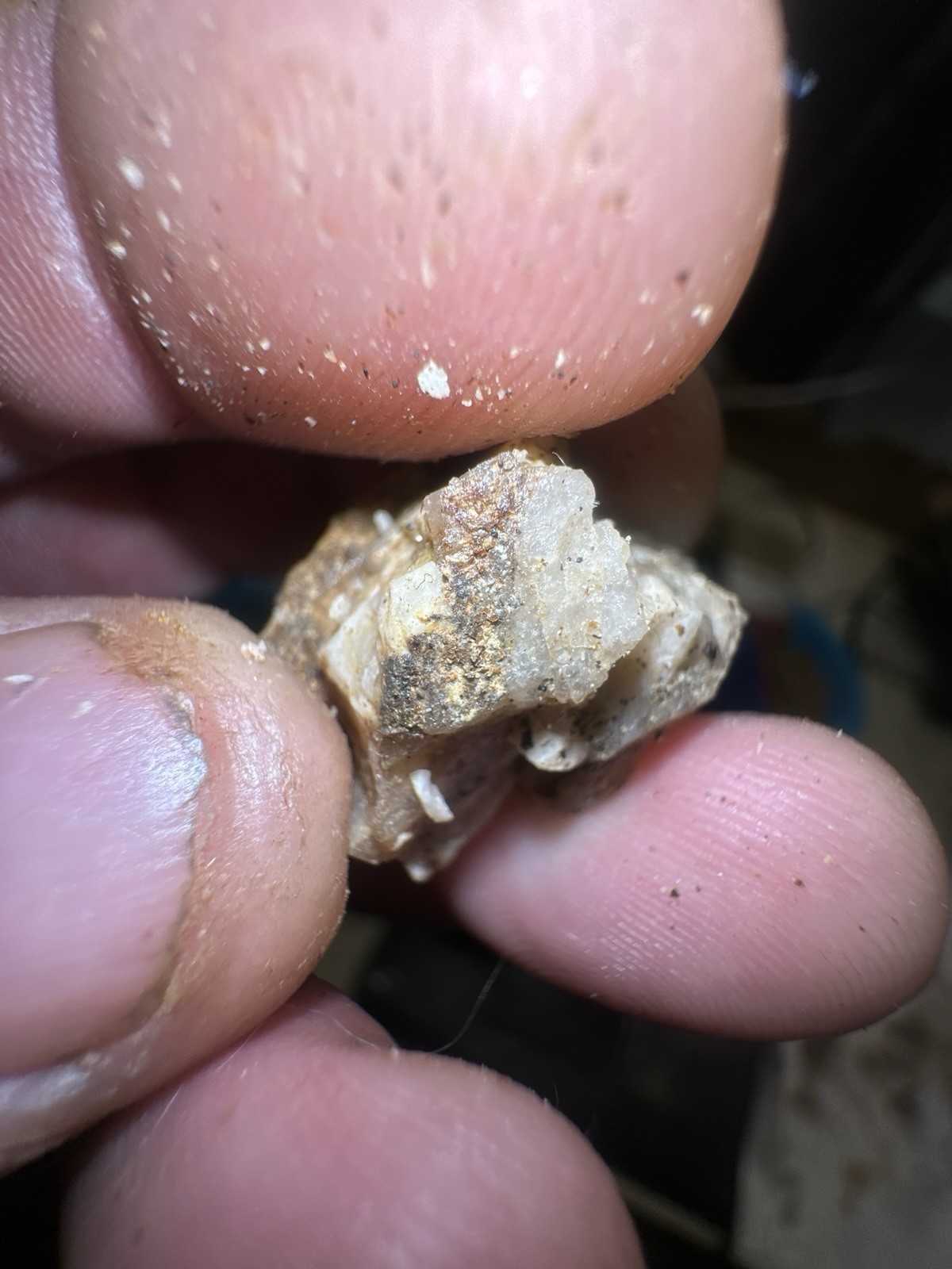 PayStreak™ Gold Ore —🔥 5 lbs 🔥Vein Quartz w/ REAL Visible Gold!