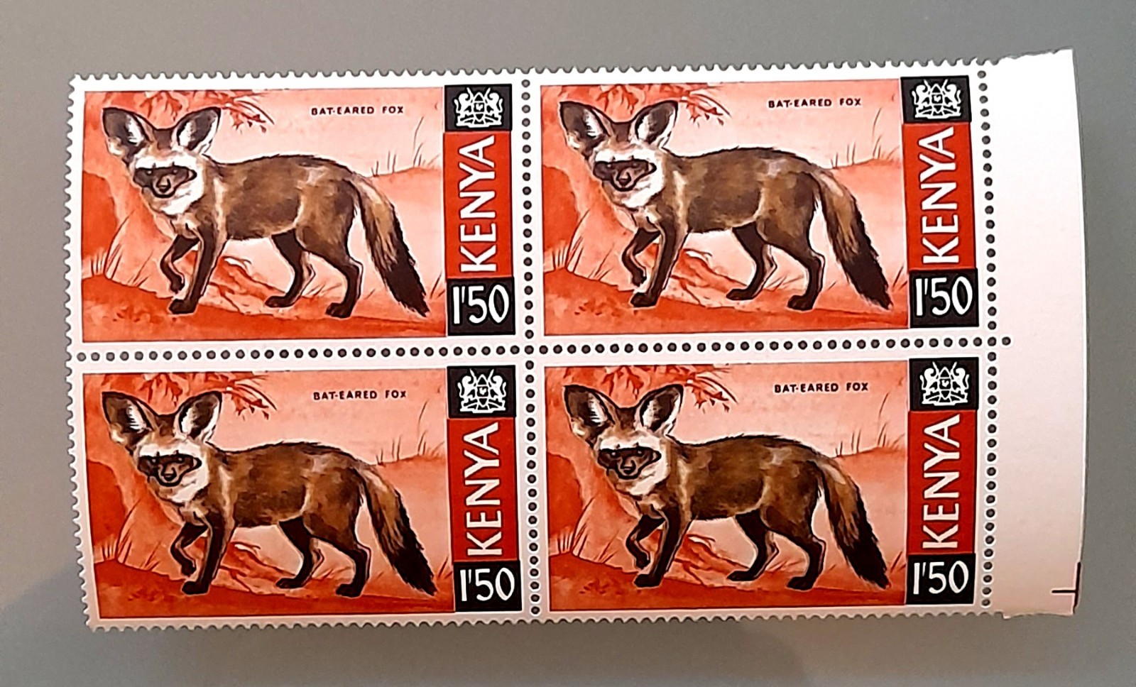 1966-69 Kenya BEAUTIFUL Animals MNH BLOCKS OF 4 of five values HARIASTAMP