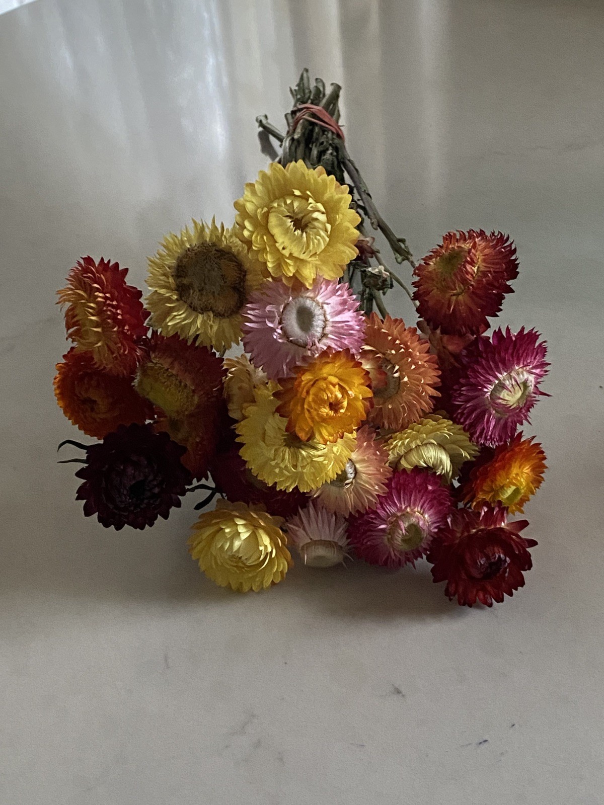 Beautiful STRAWFLOWERS Assorted Bunch BOUQUET Bundle DRIED Flowers USA Auc#4