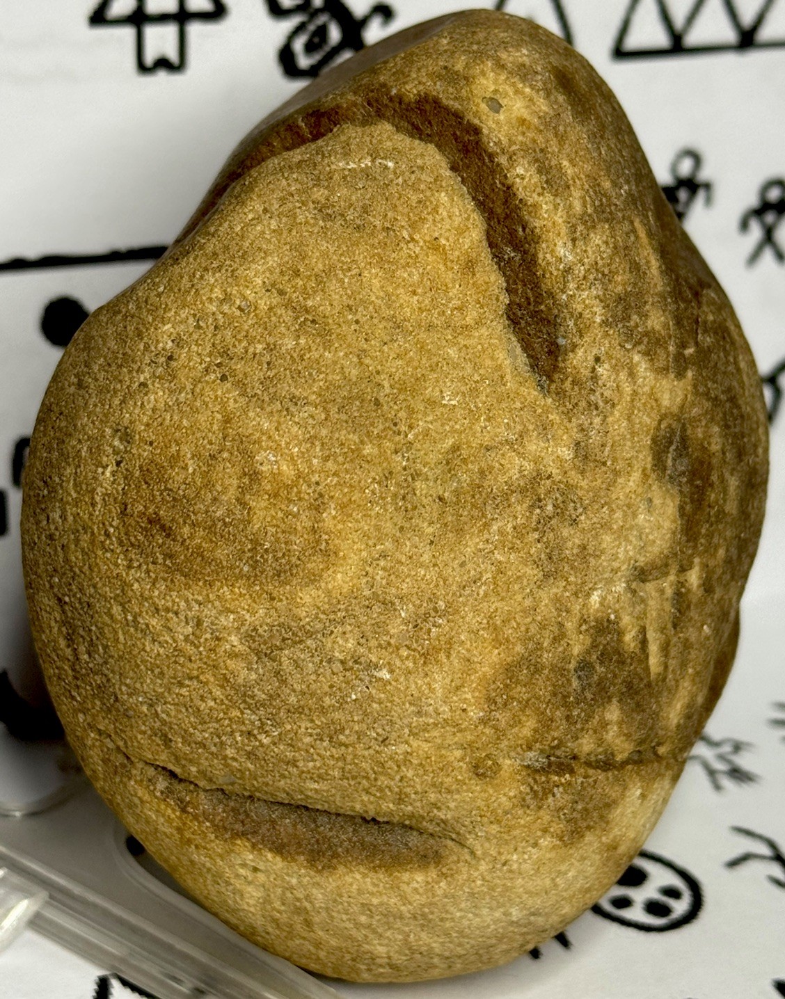 Native American Indian Authentic Artifact Stone Carved Effigy, 1 lb 10 oz • VA