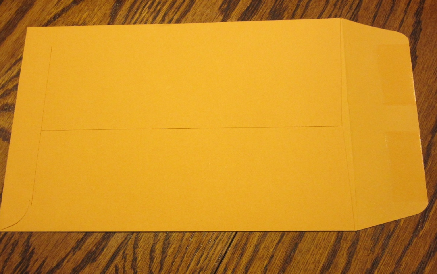 10 KRAFT CATALOG ENVELOPES 6 X 9 MAILERS WITH GUMMED FLAP 6" BY 9" SIDE SEAL