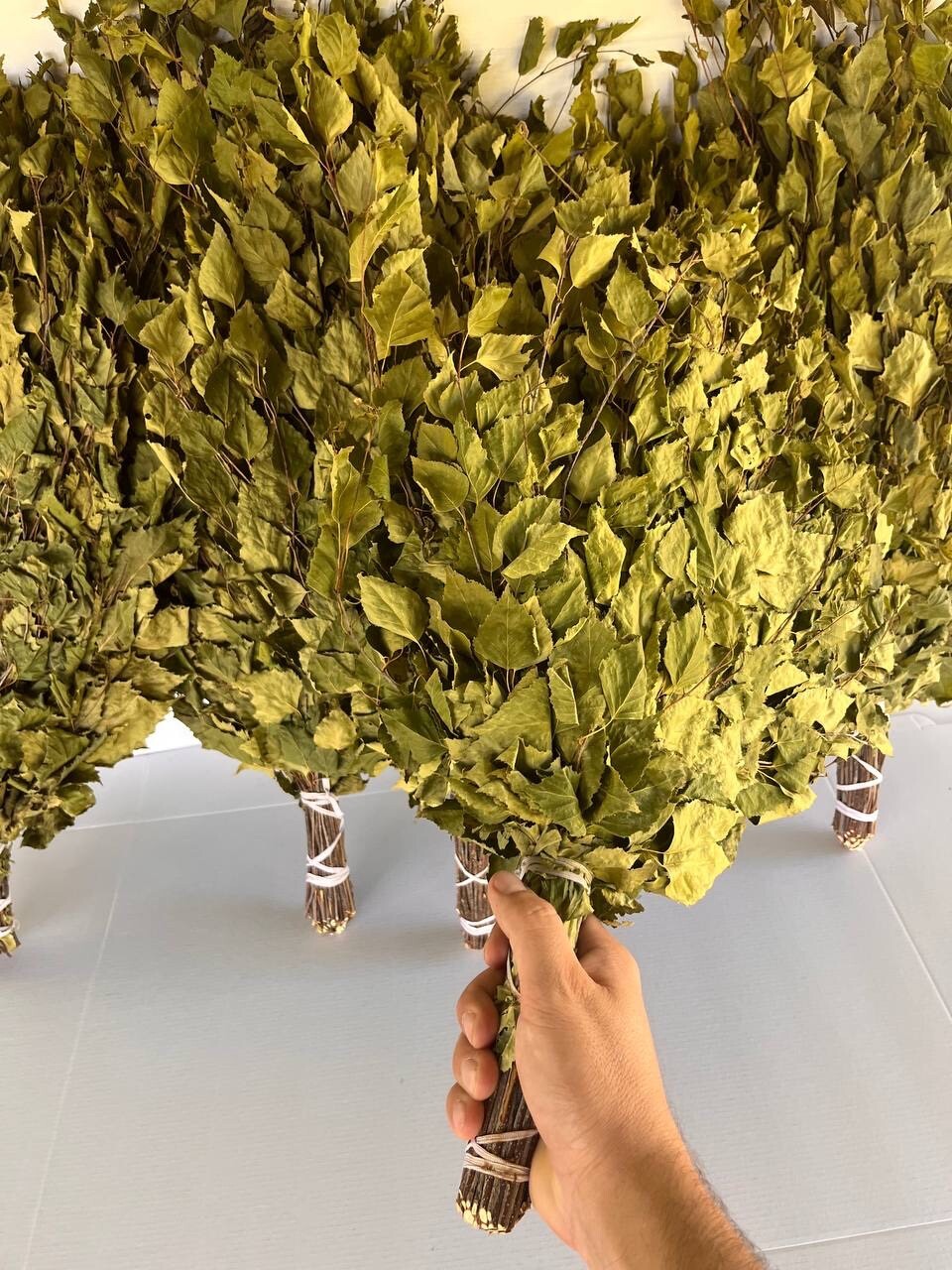 12 Oak brooms sauna banya venik Eiche whisks eco 2025 Ukrainian