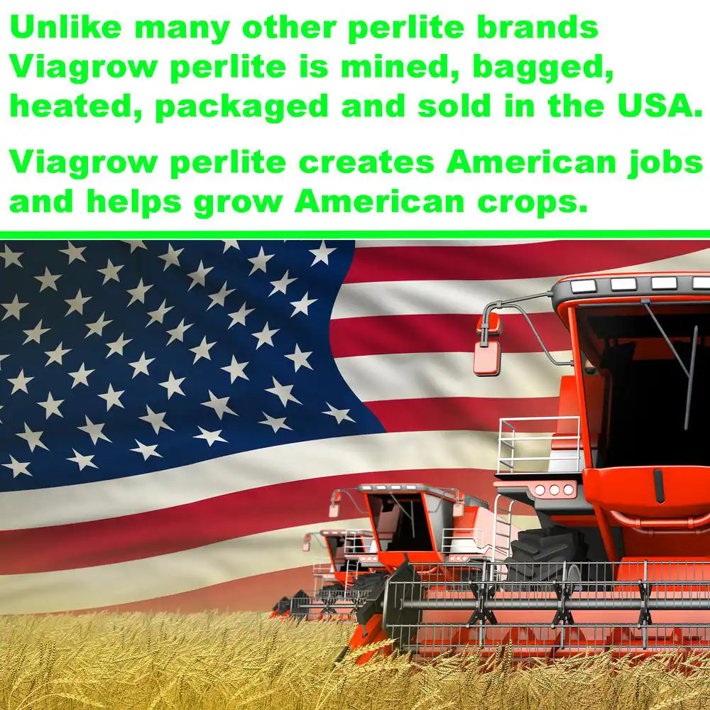 4 Cu. Ft. of Perlite (2-Pack)