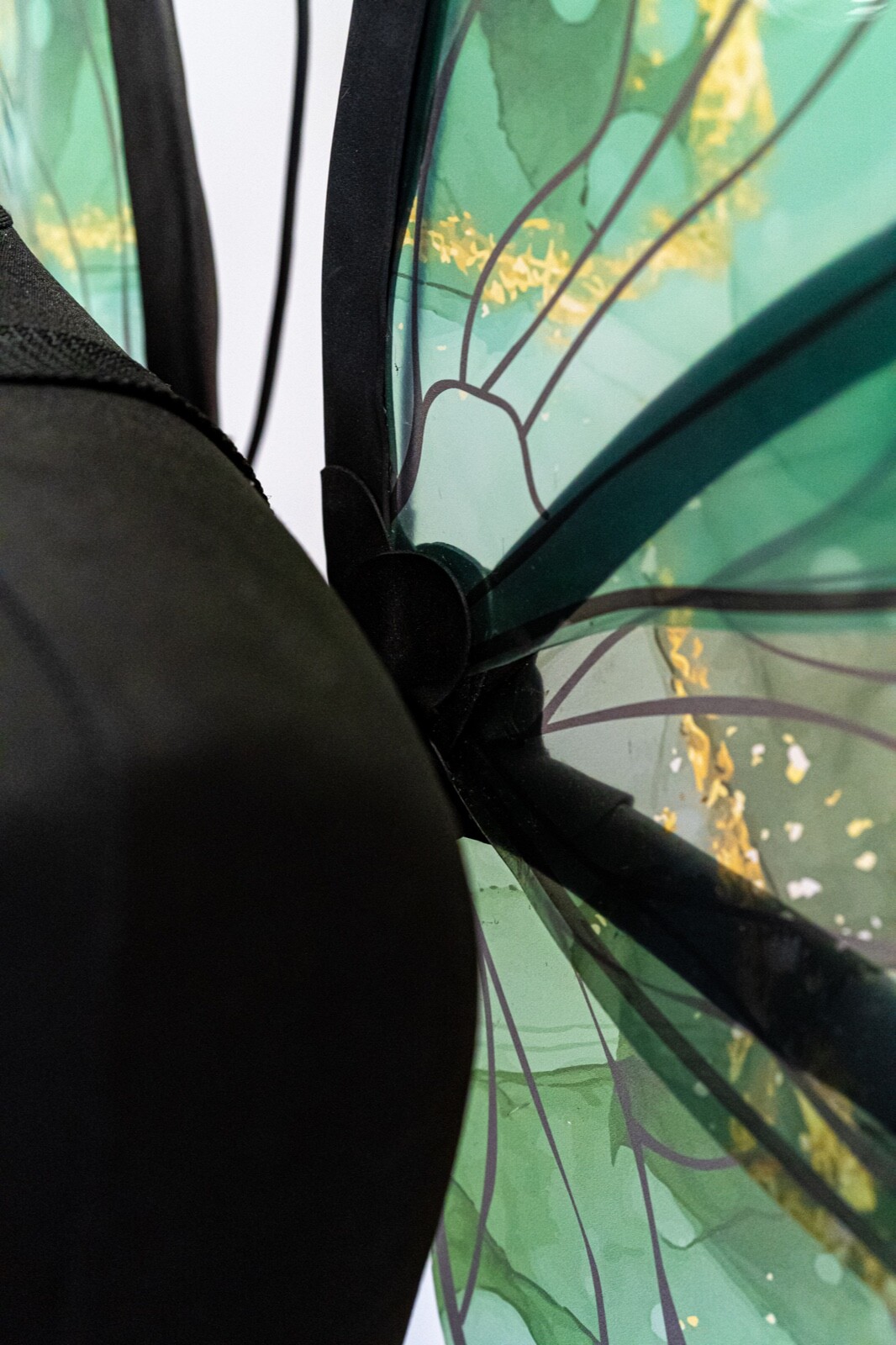 Green Fairy Wings Costume For Adult Butterfly Elf Cosplay Iridescent Halloween