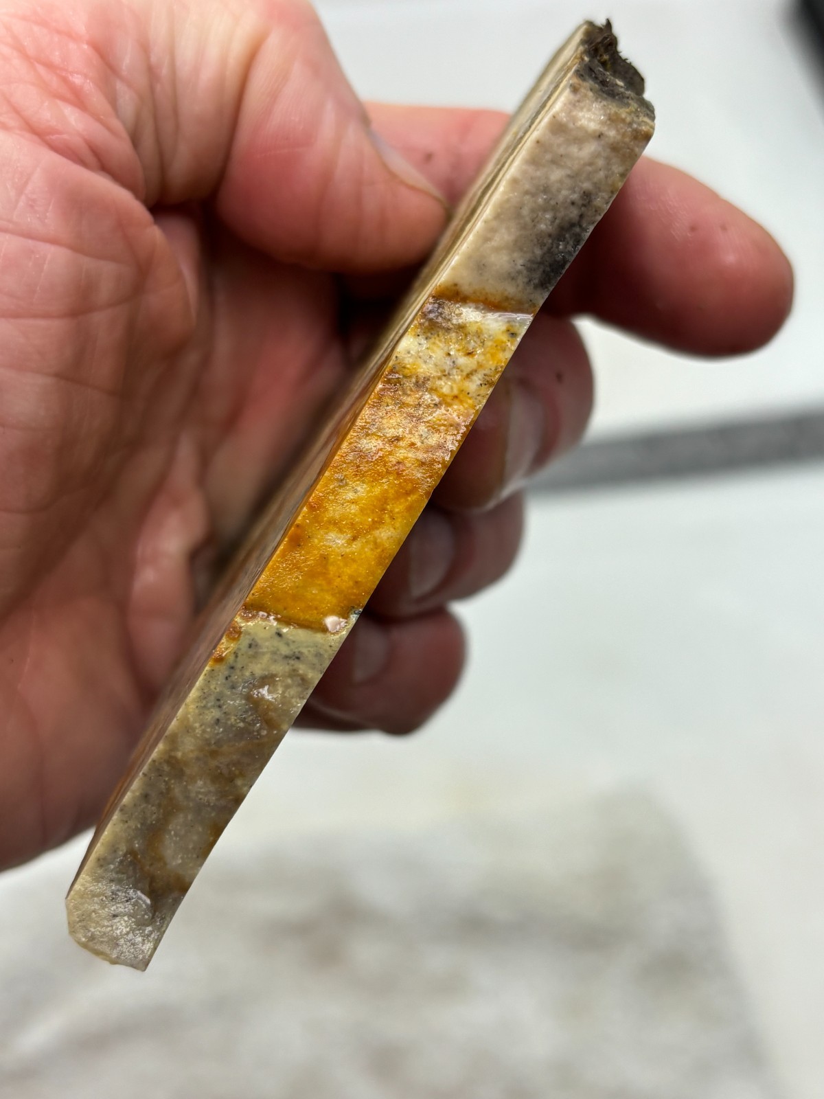 Disaster Peak Picture Jasper Slab Cabbing Lapidary Collecting Combo Ship Avail