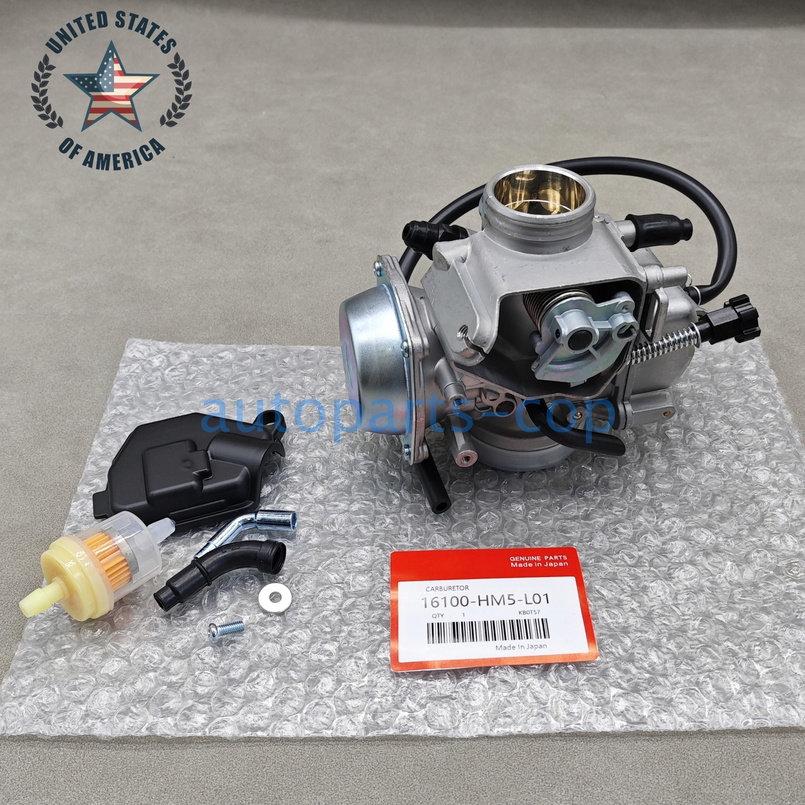 OEM Carburetor Fits For Honda 1988-2000 Fourtrax 300 TRX300 16100-HM5-L01 US