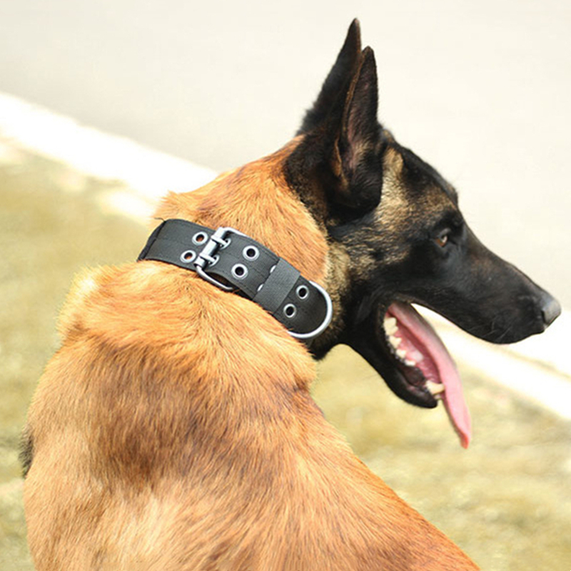 Tactical Heavy Duty Nylon Large Dog Collar K9 Military Metal Buckle Adjustable