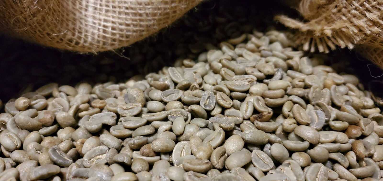 5 LBS PAPUA NEW GUINEA UNROASTED GREEN COFFEE BEANS - ARABICA