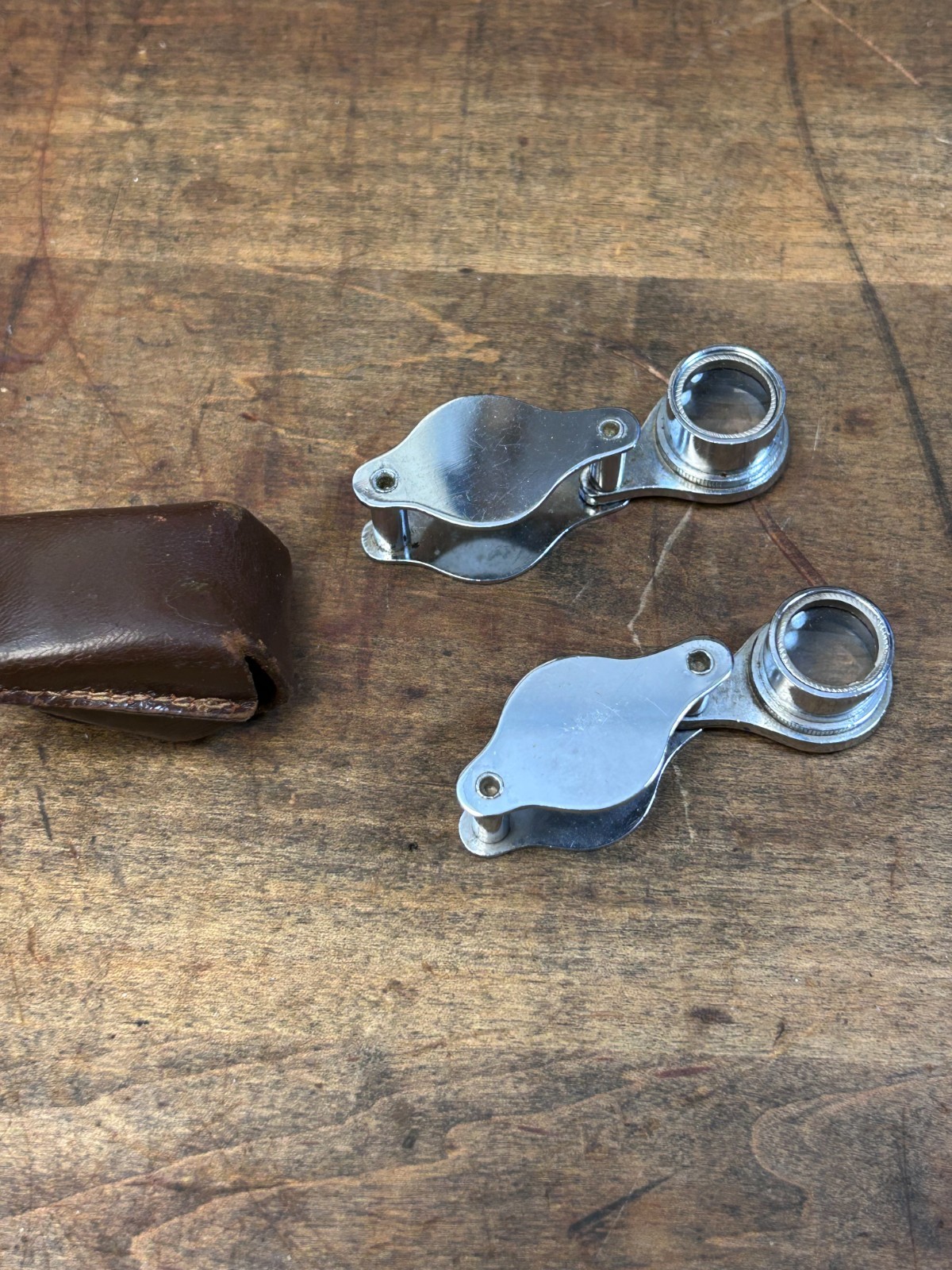 Whitman 10X and 17X Magnifying Glass Japan