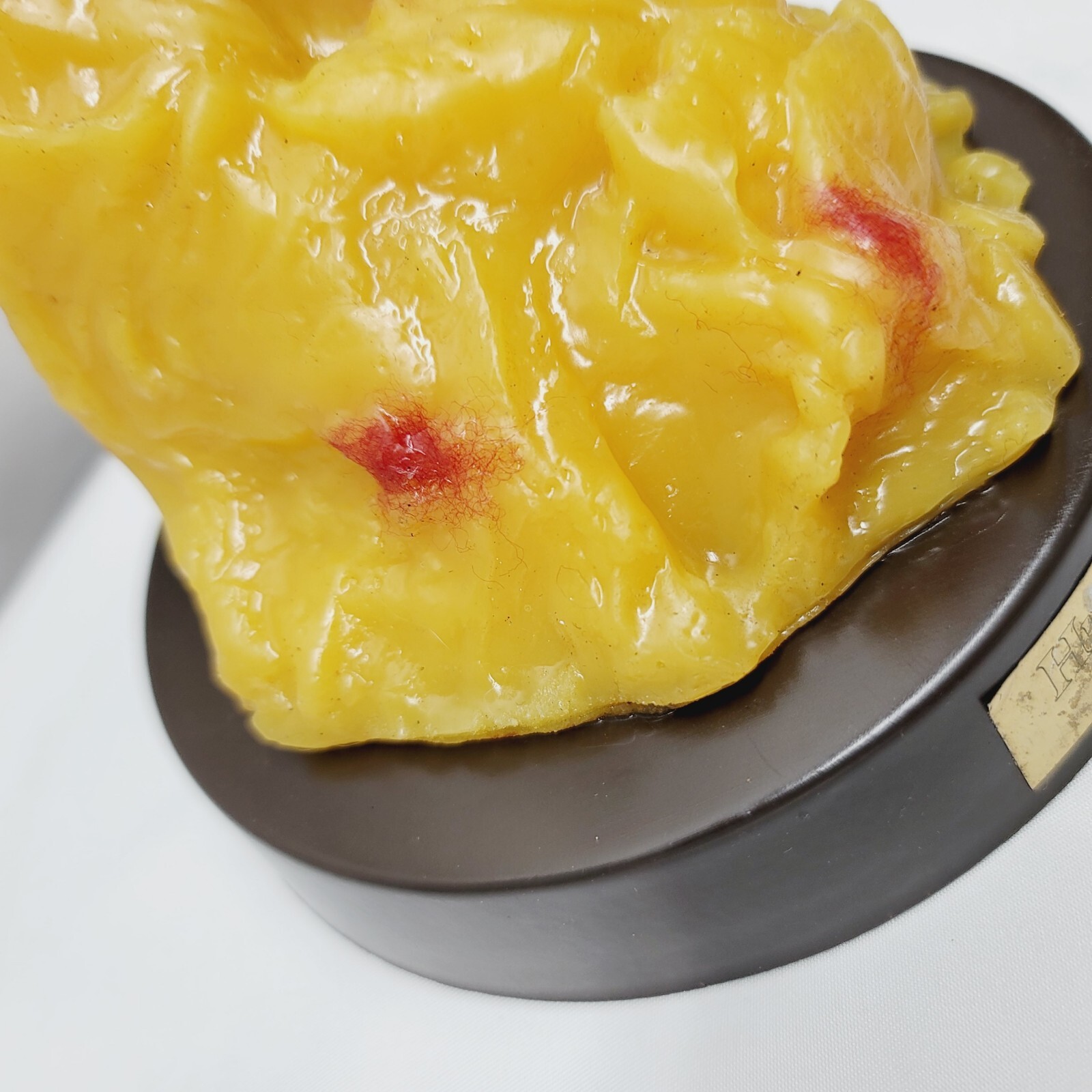 Vintage Human Adipose Tissue Replica Model Of 1lb Of Fat