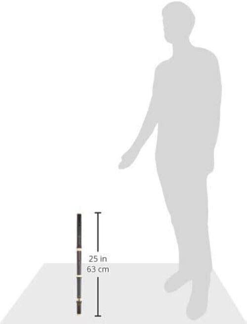 Aulos AF-1 Grenser Baroque Flute Plastic Material Japan AF1 Wind Instrument 350g