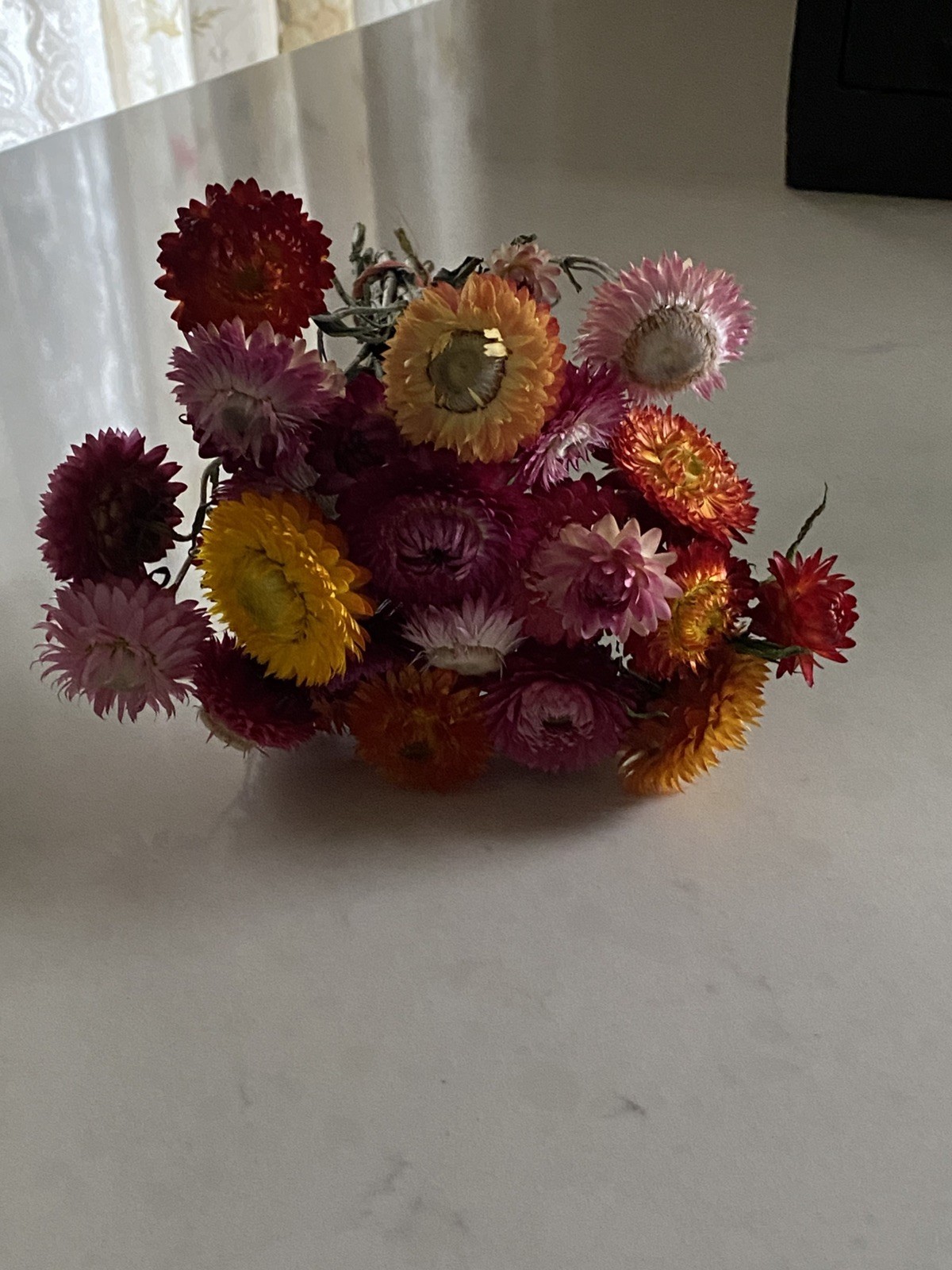 Beautiful STRAWFLOWERS Mix Assorted Bunch BOUQUET Bundle DRIED Flowers USA Auc#1