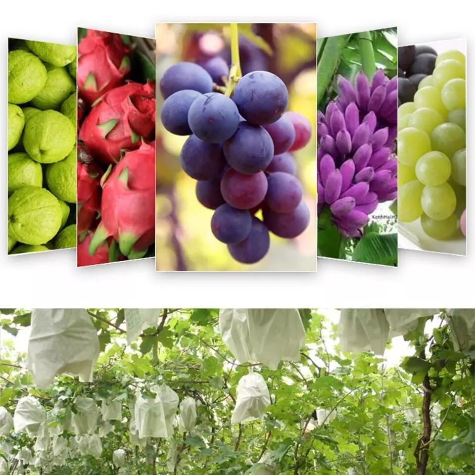 100PCS Garden Plant Fruit Vege Protect Drawstring Bags Against Insect Pest Bird